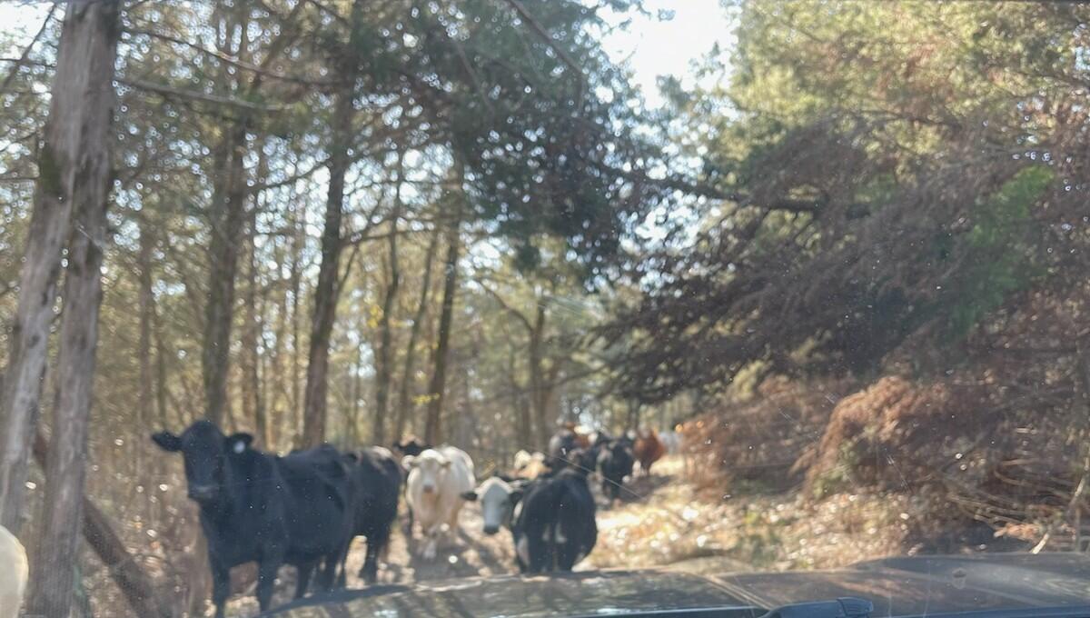 000 Us Hwy 160 Property Photo 3