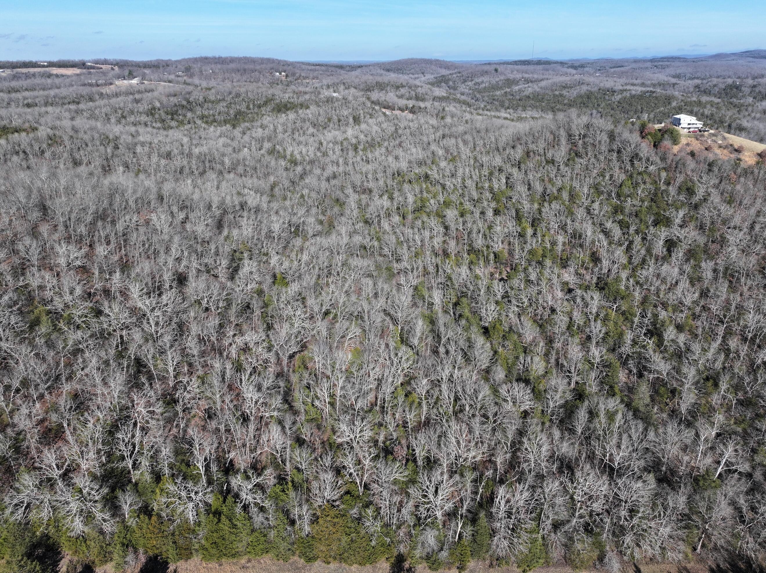 000 Us Hwy 160 Property Photo 4