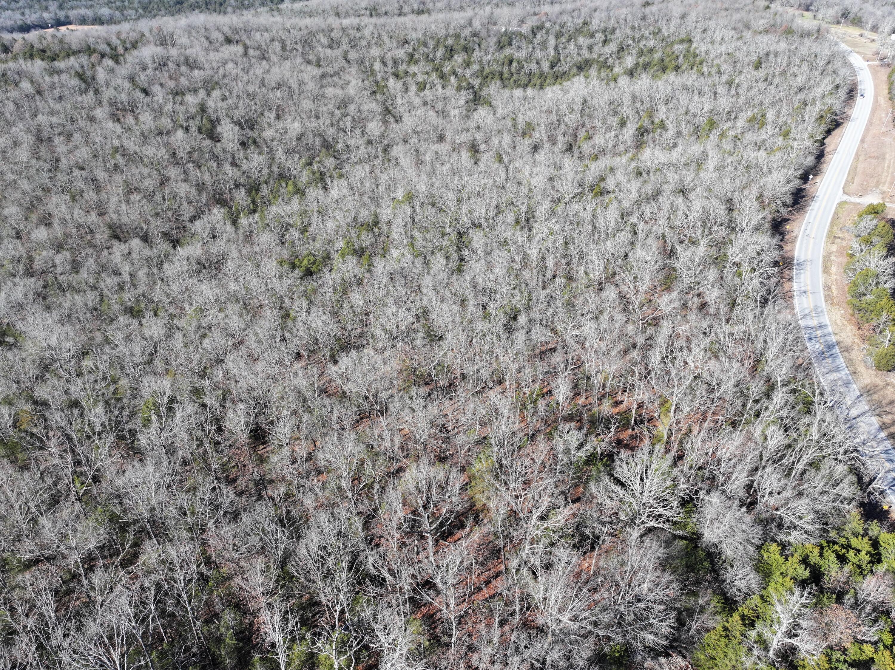 000 Us Hwy 160 Property Photo 5