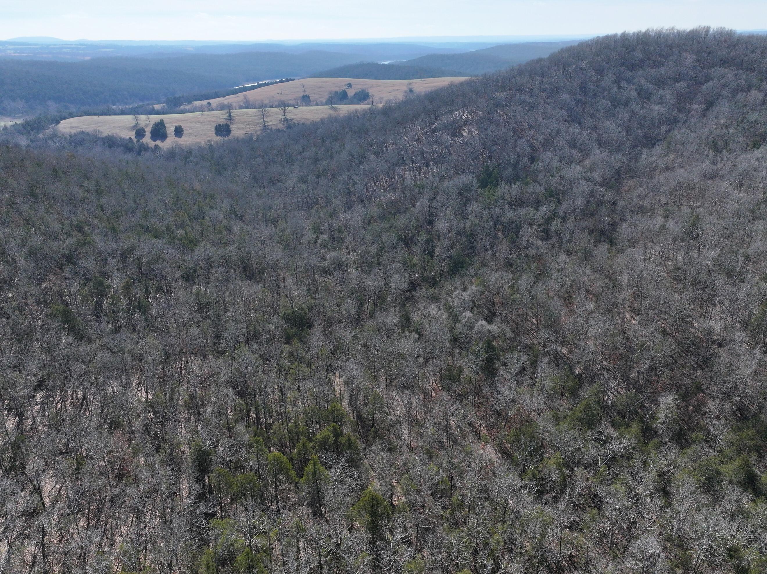 000 Us Hwy 160 Property Photo 9