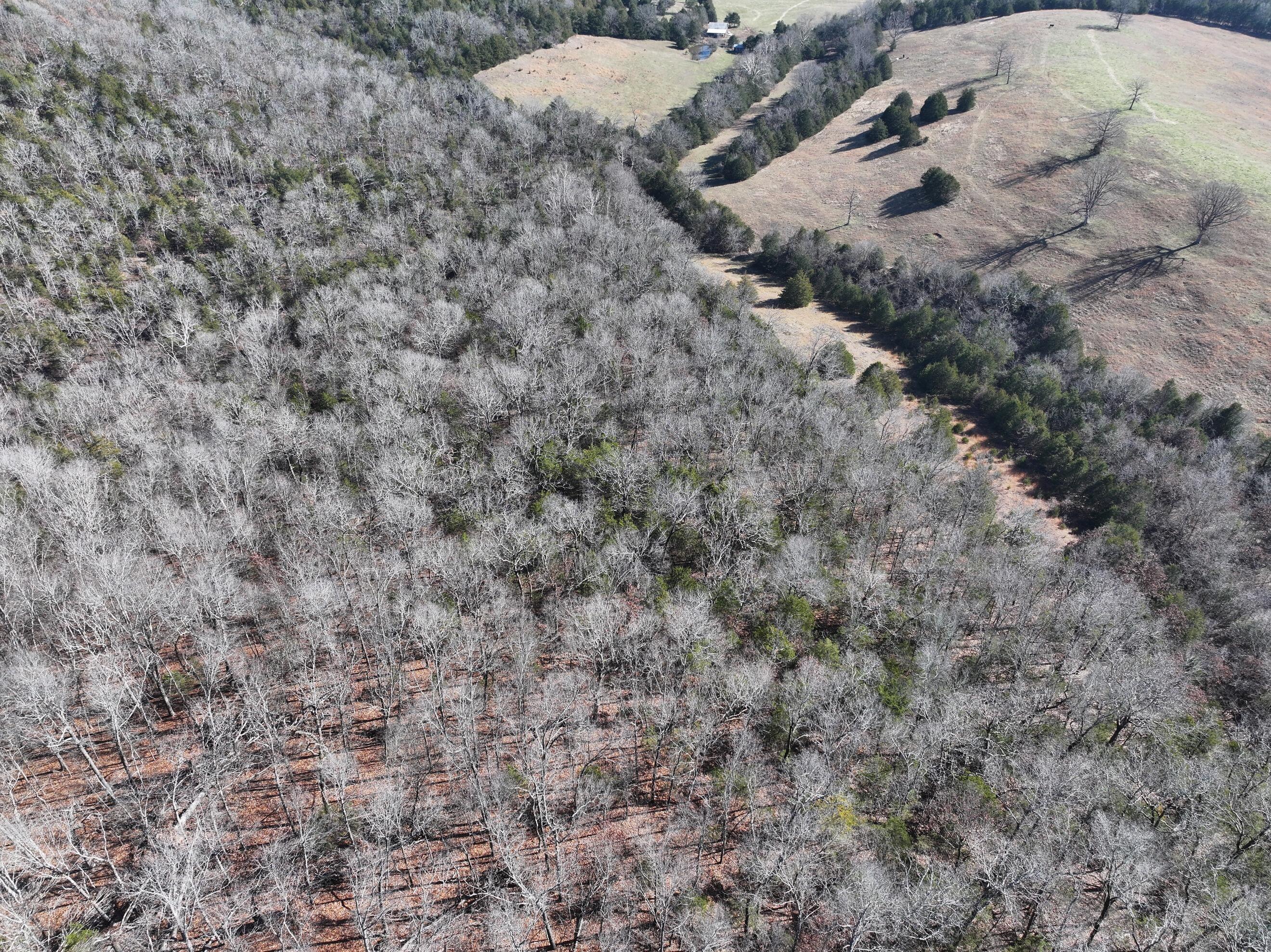 000 Us Hwy 160 Property Photo 10