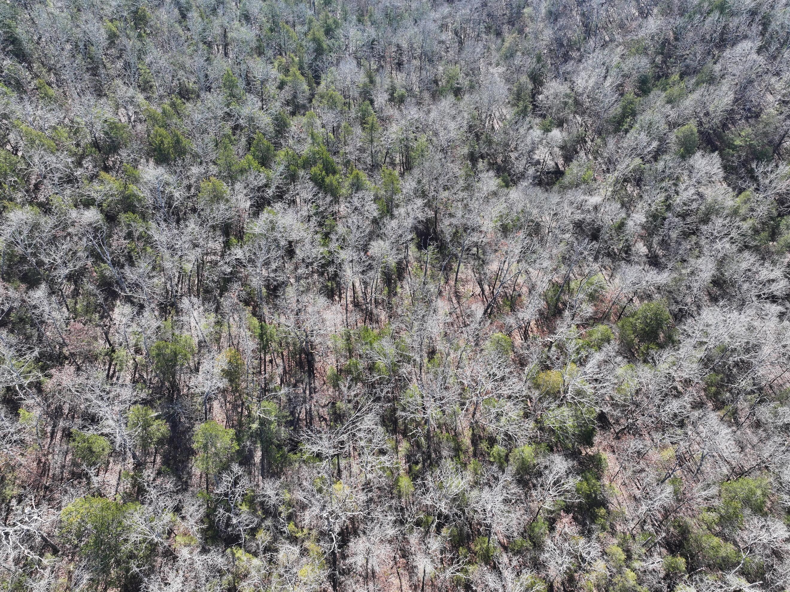 000 Us Hwy 160 Property Photo 18