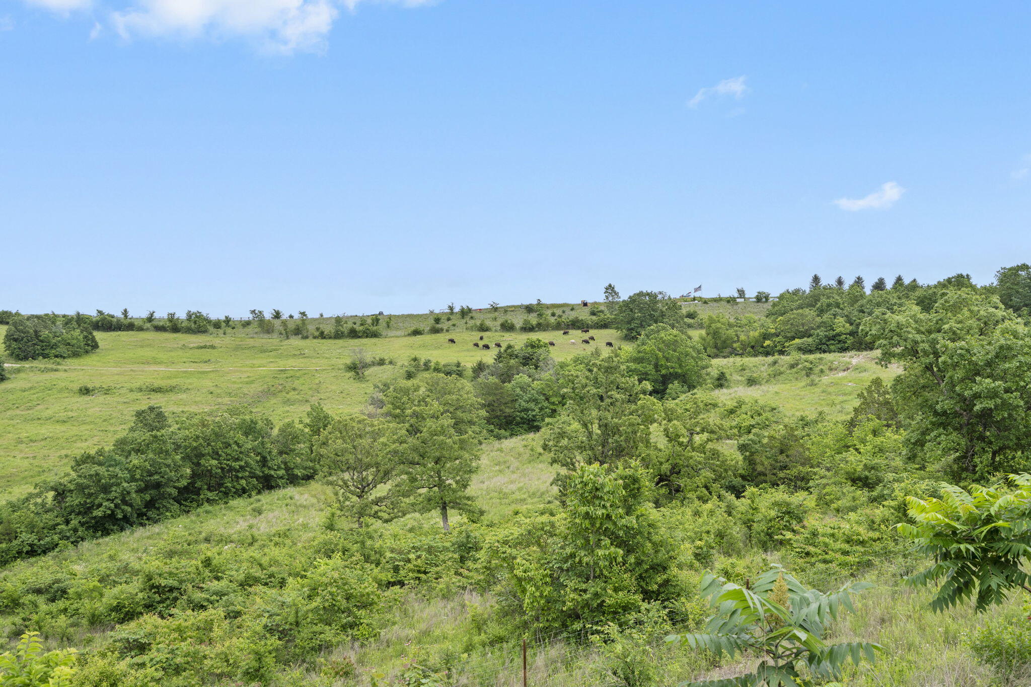 138 Forest Oak Drive Property Photo 3