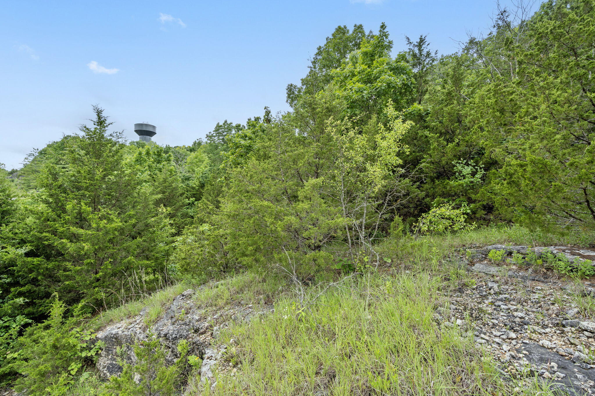 138 Forest Oak Drive Property Photo 4