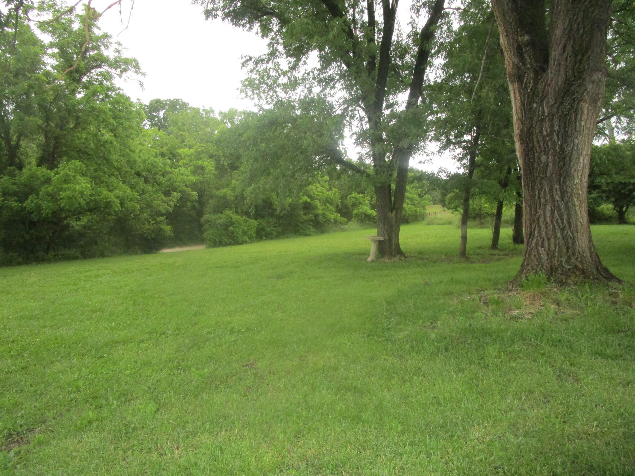 9065 County Road 3940 Property Photo 16