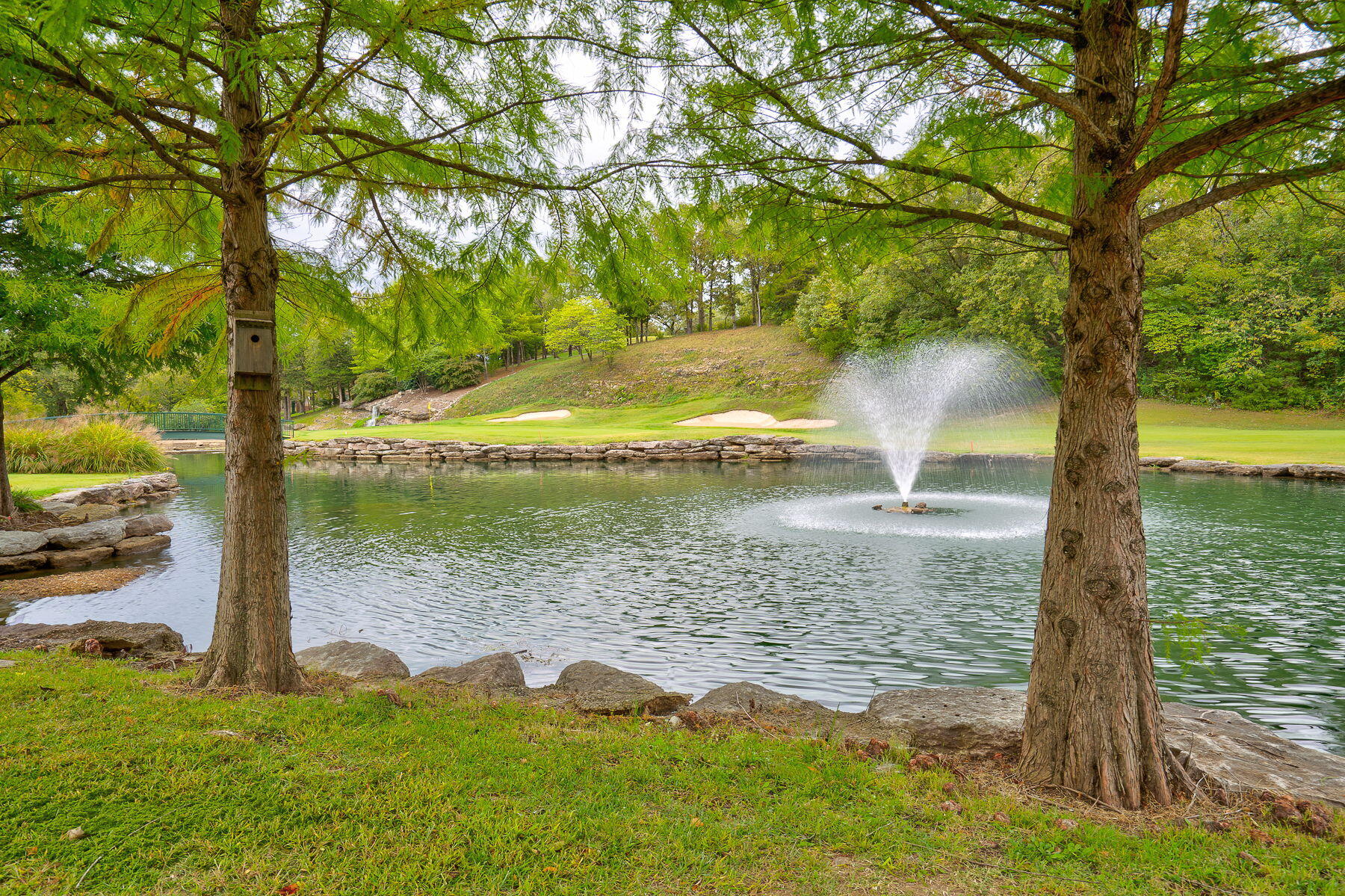 25 Olivia Court Property Photo 46