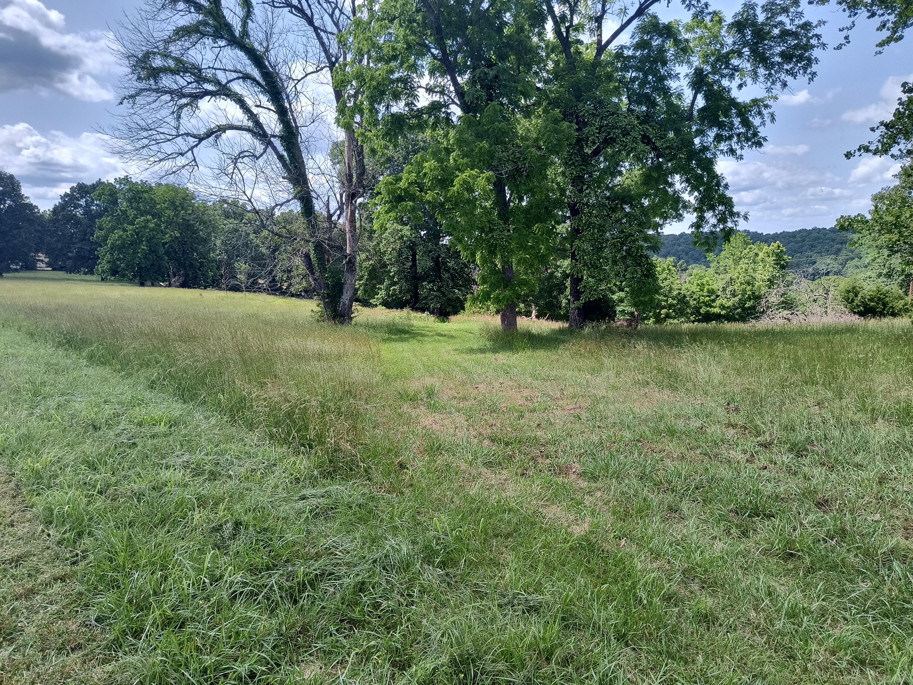 000 Eagle Wing Drive Property Photo 3