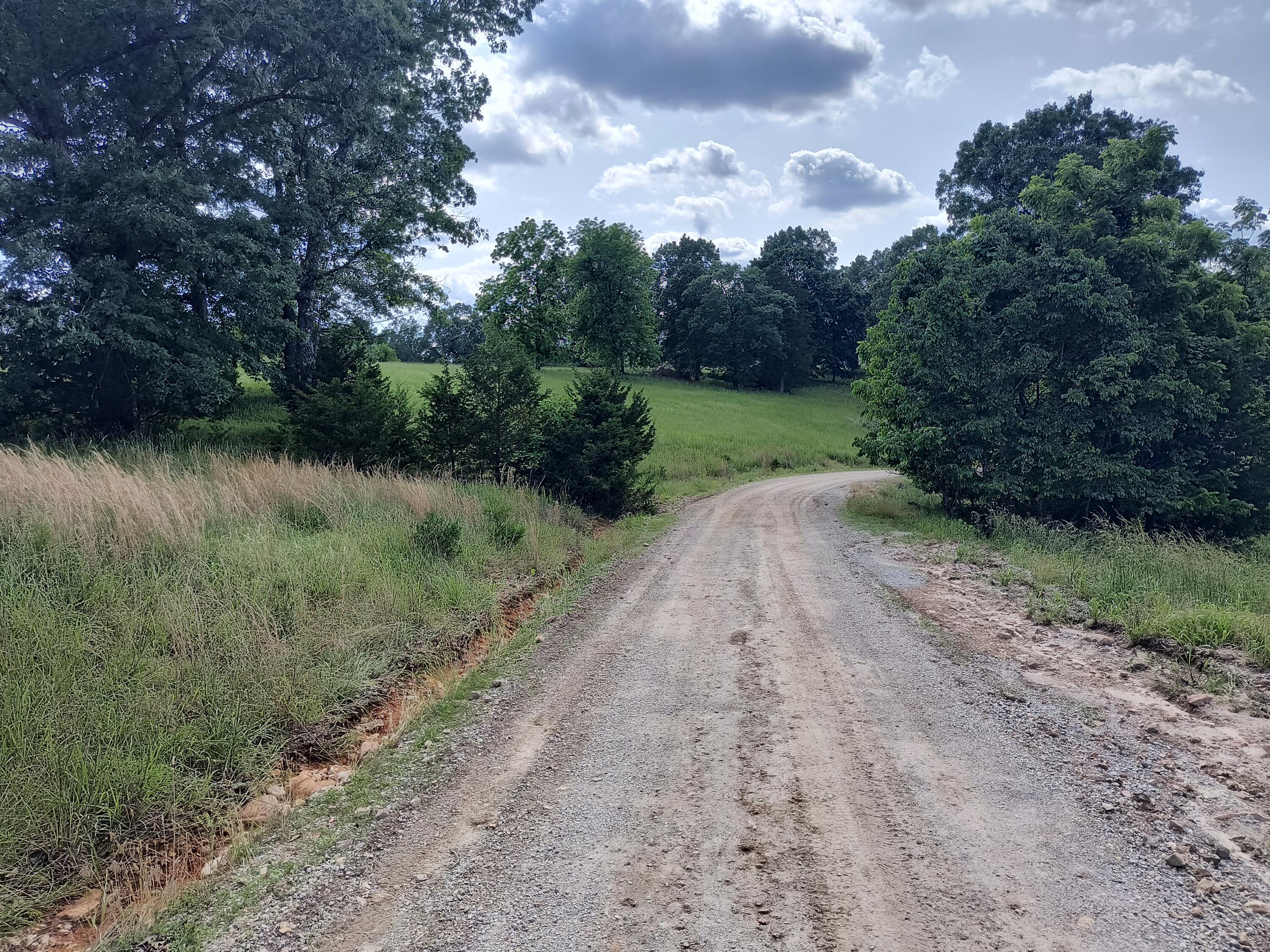 000 Eagle Wing Drive Property Photo 4