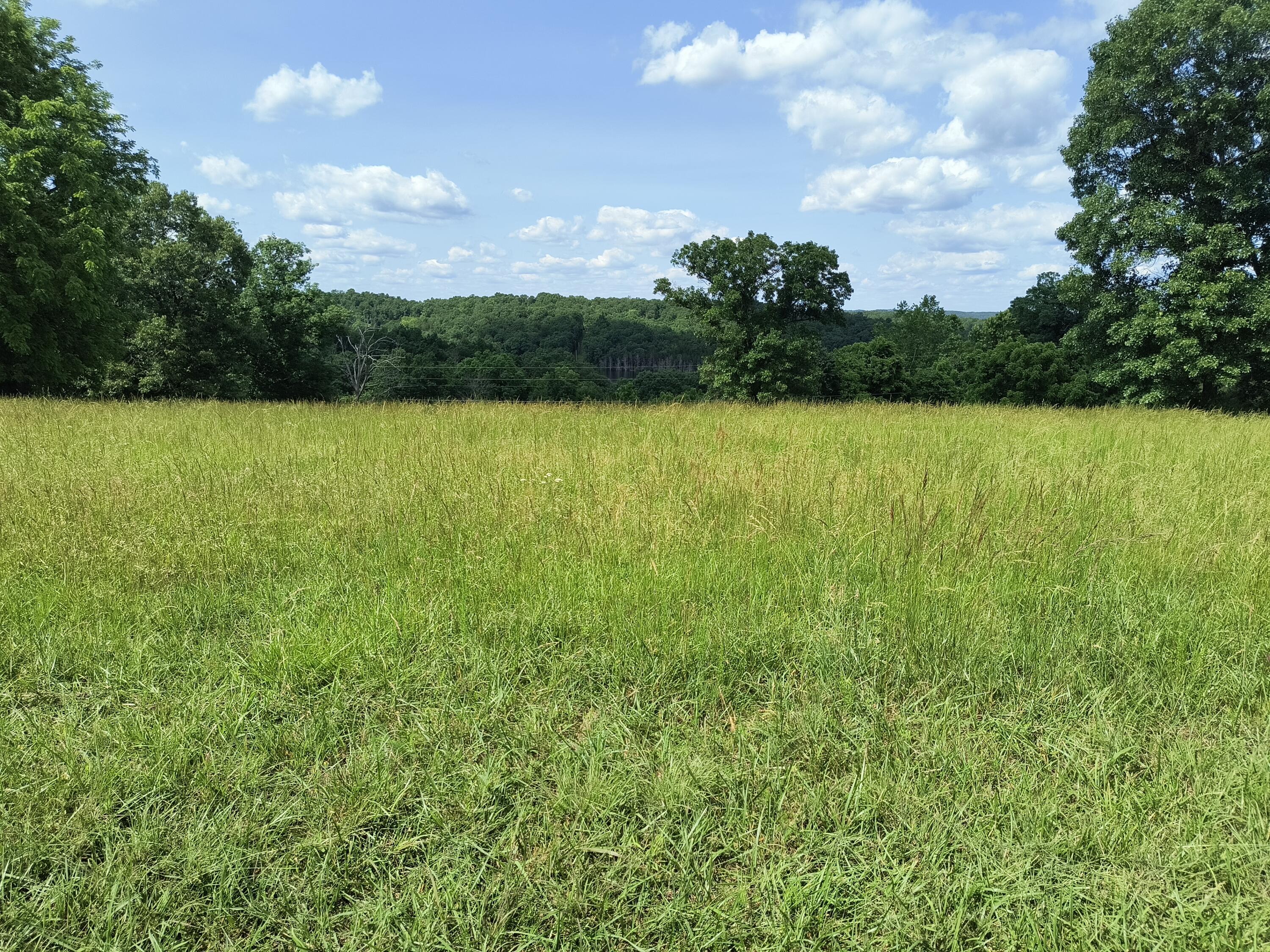 000 Eagle Wing Drive Property Photo 5