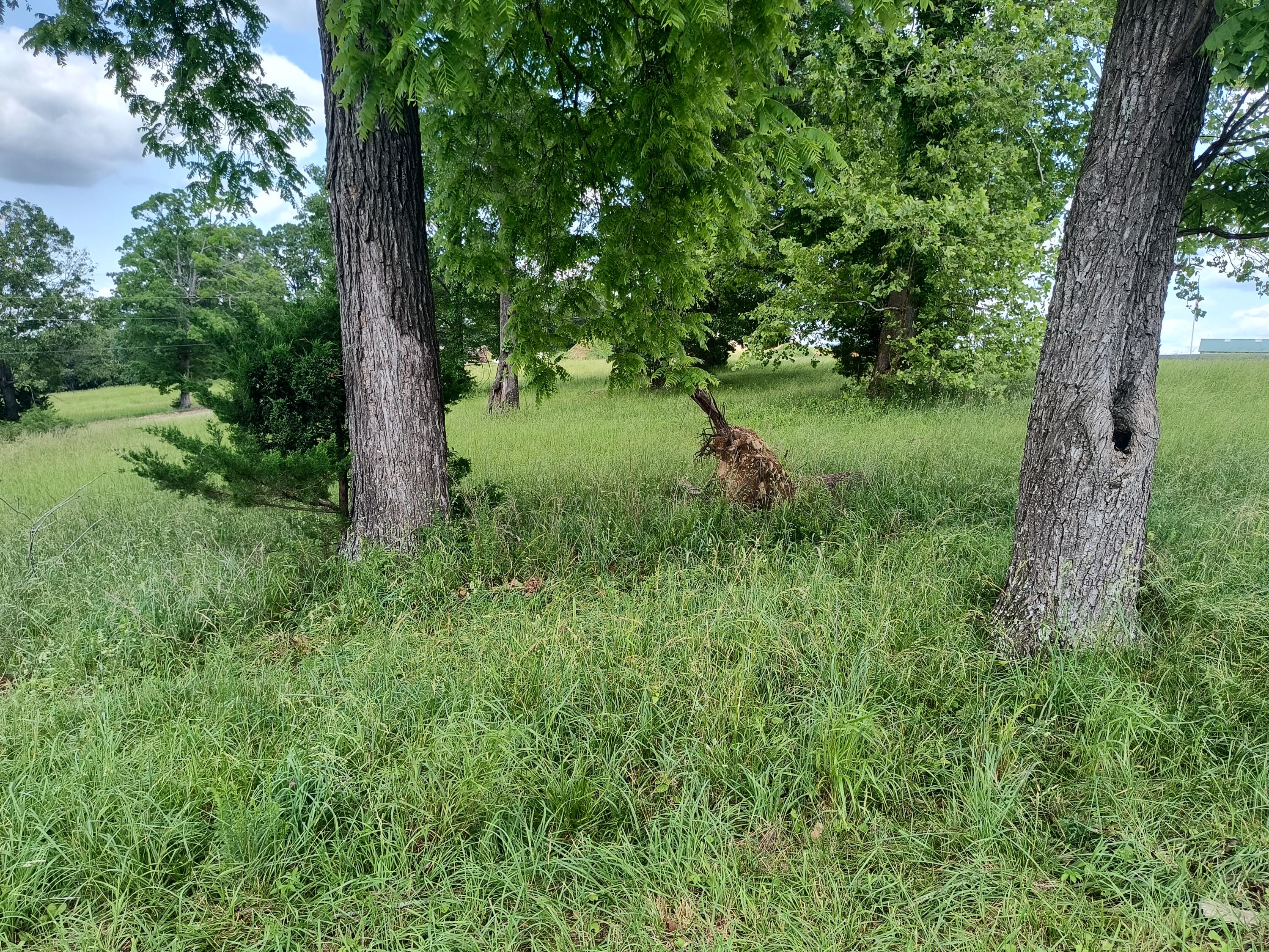 000 Eagle Wing Drive Property Photo 6