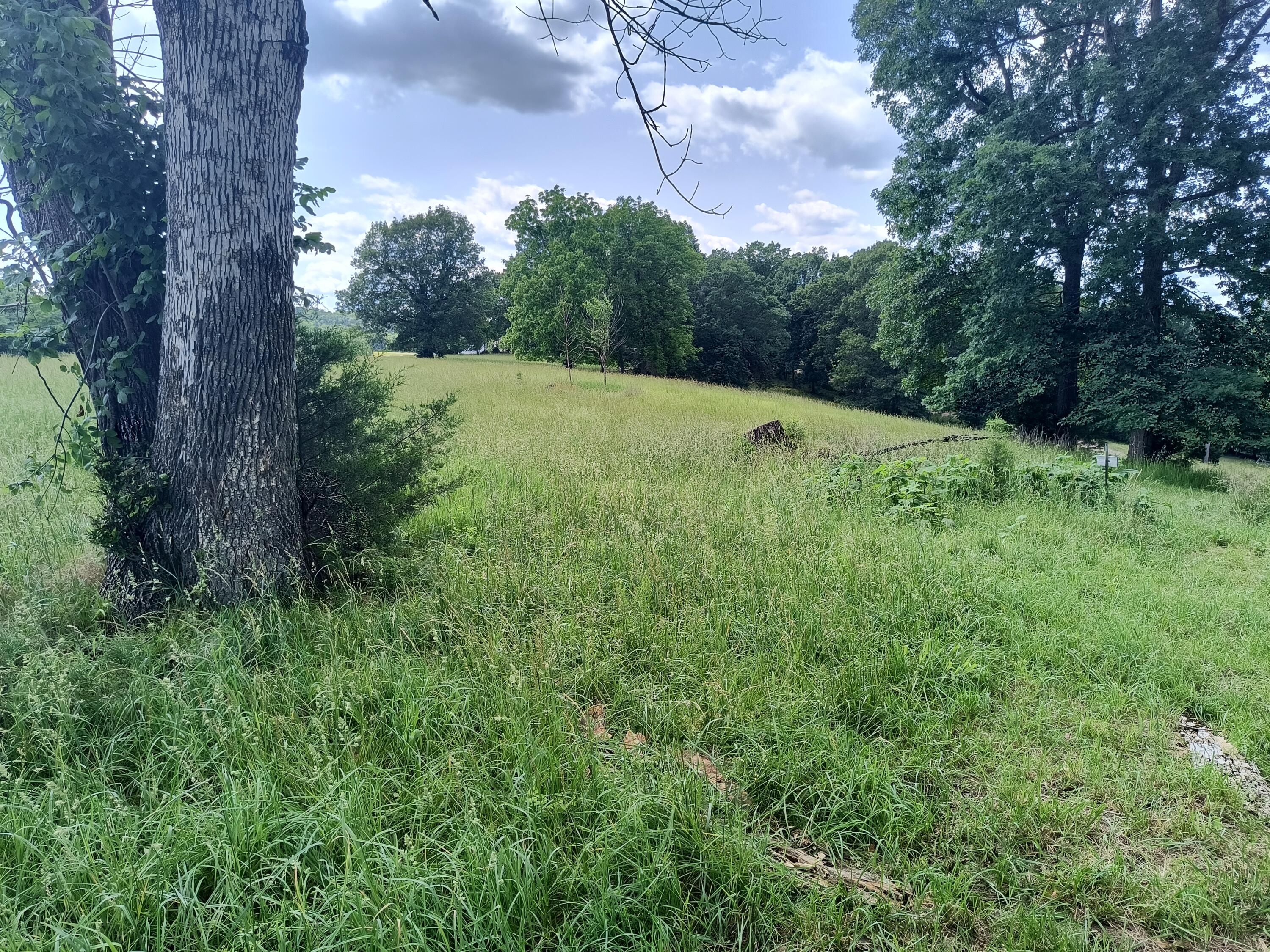 000 Eagle Wing Drive Property Photo 7