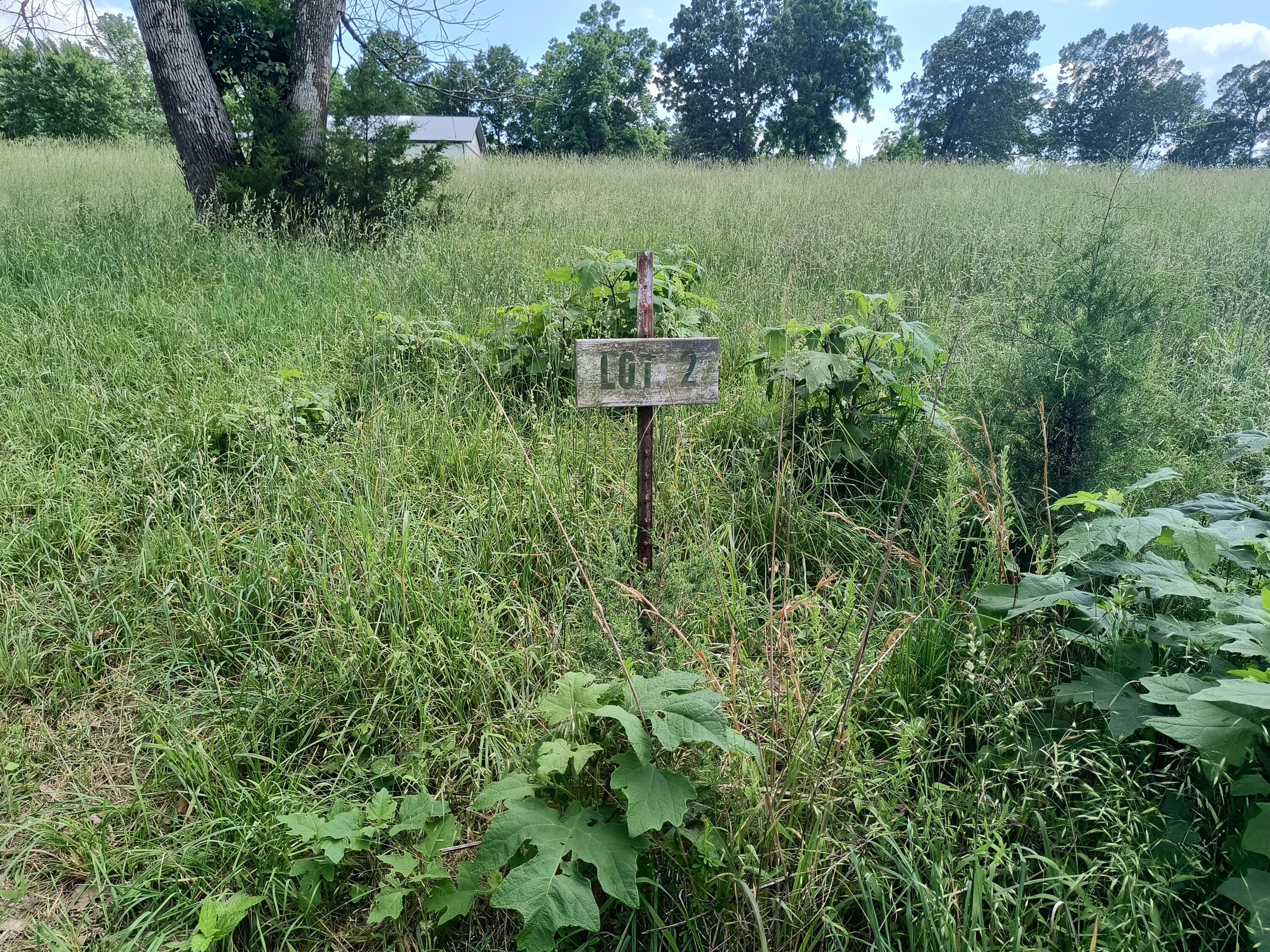 000 Eagle Wing Drive Property Photo 8