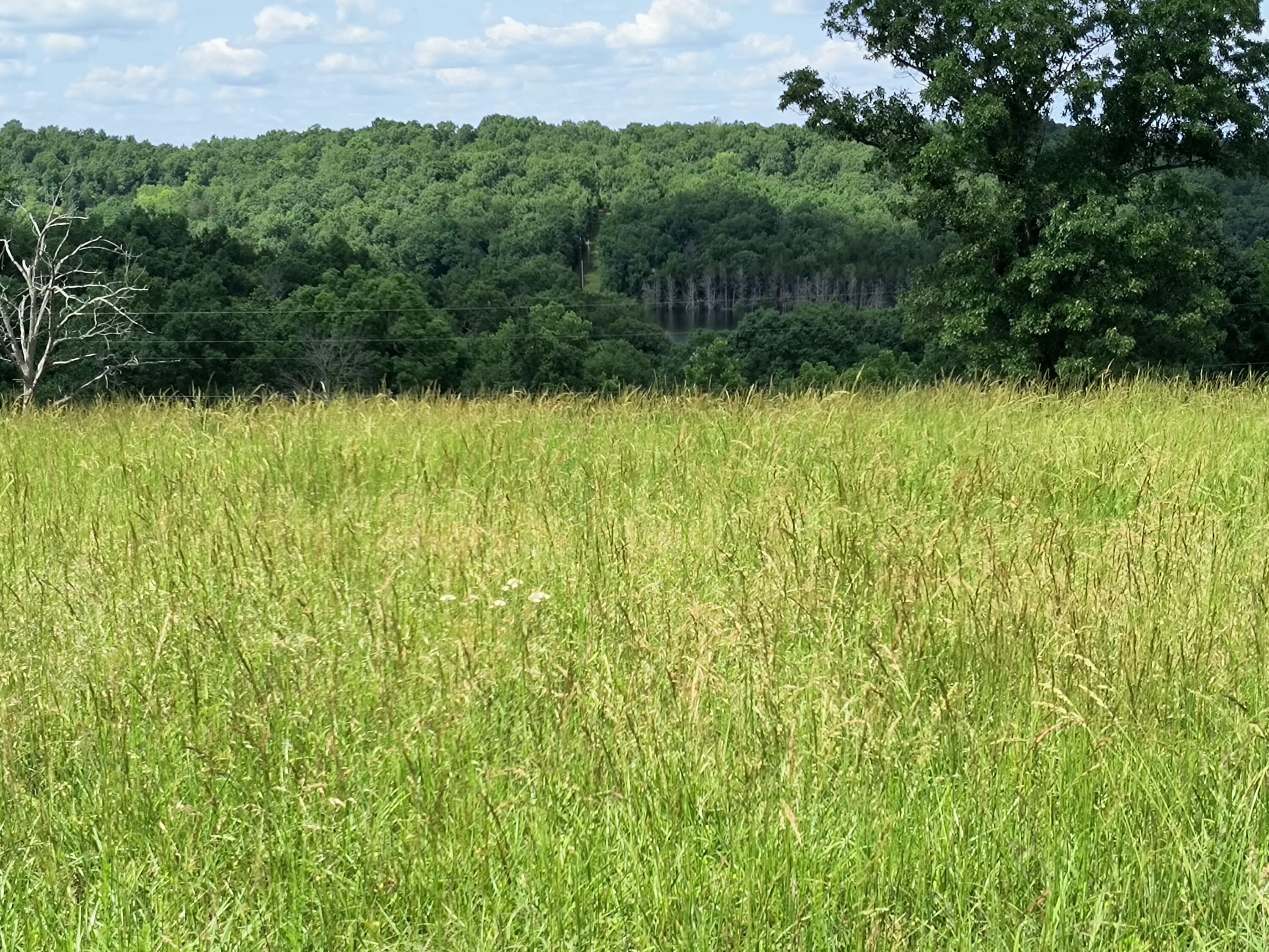 000 Eagle Wing Drive Property Photo 9