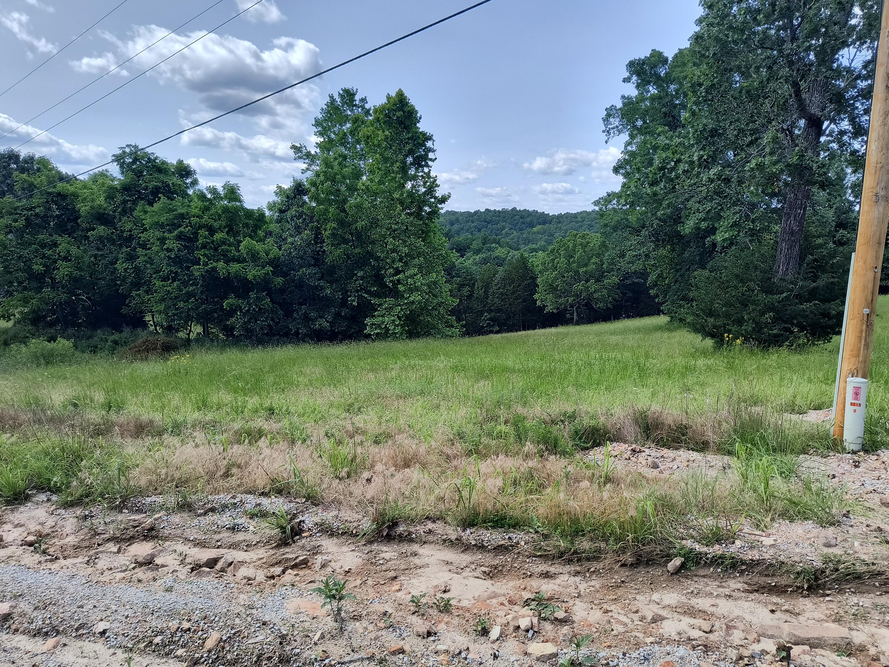 000 Eagle Wing Drive Property Photo 10