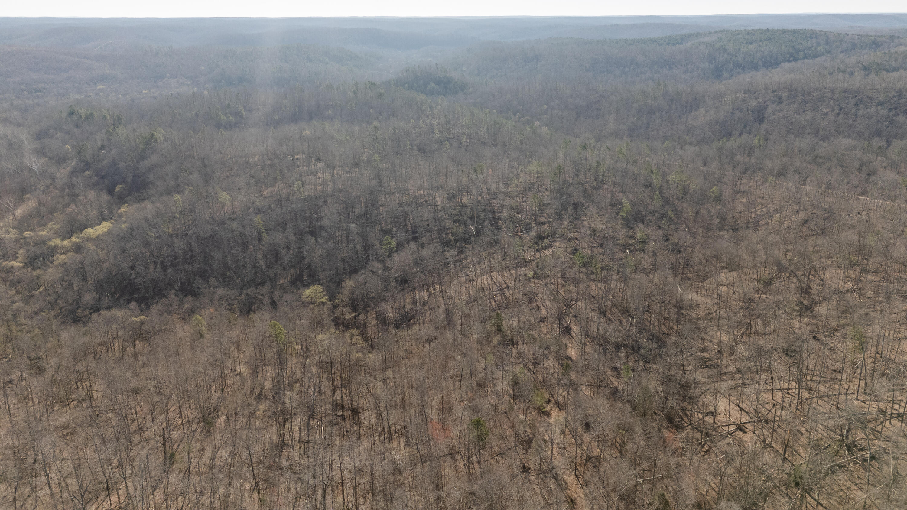000 Highway 19 Property Photo 1