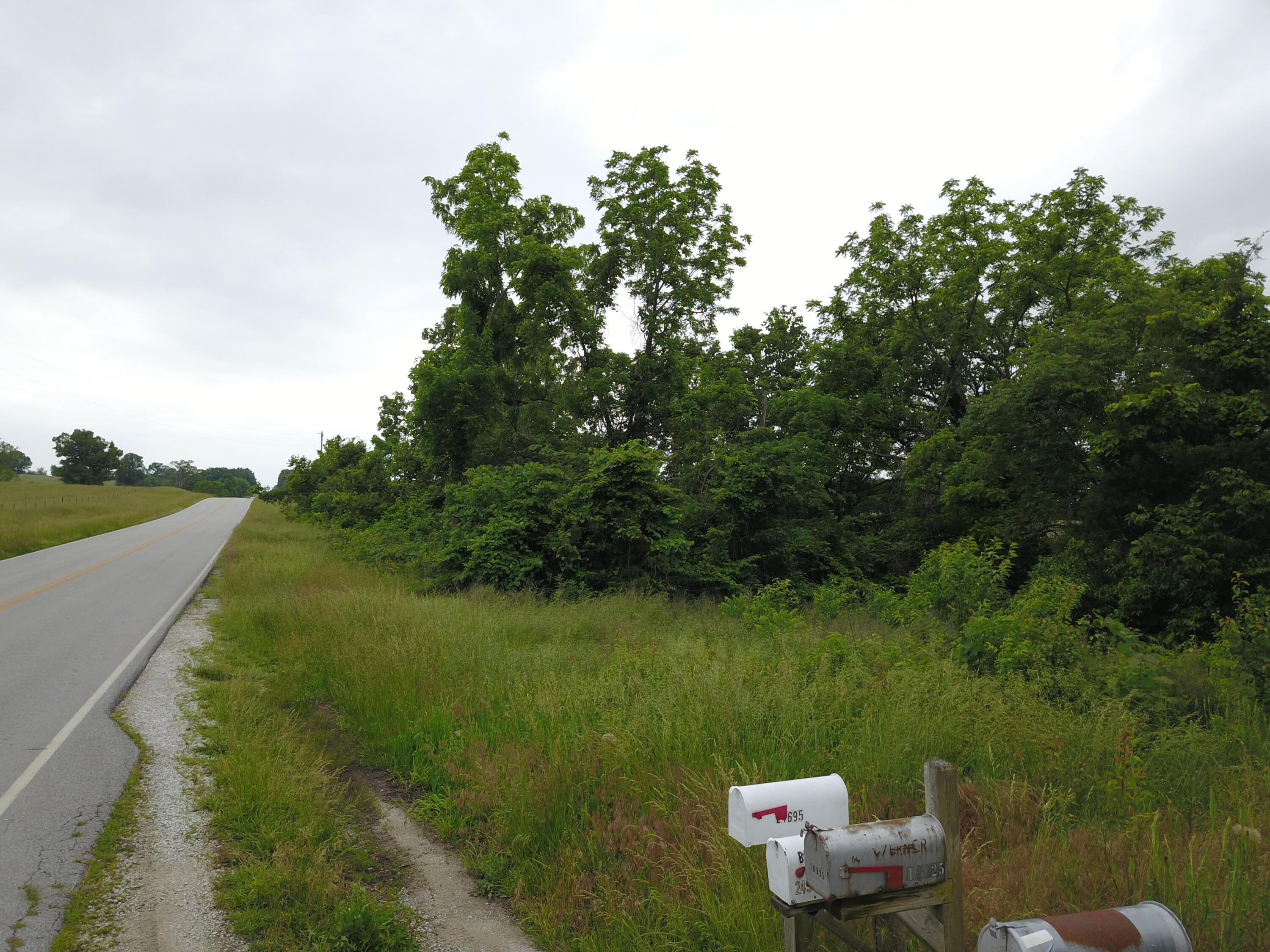 19020 South 245 Highway Property Photo 5