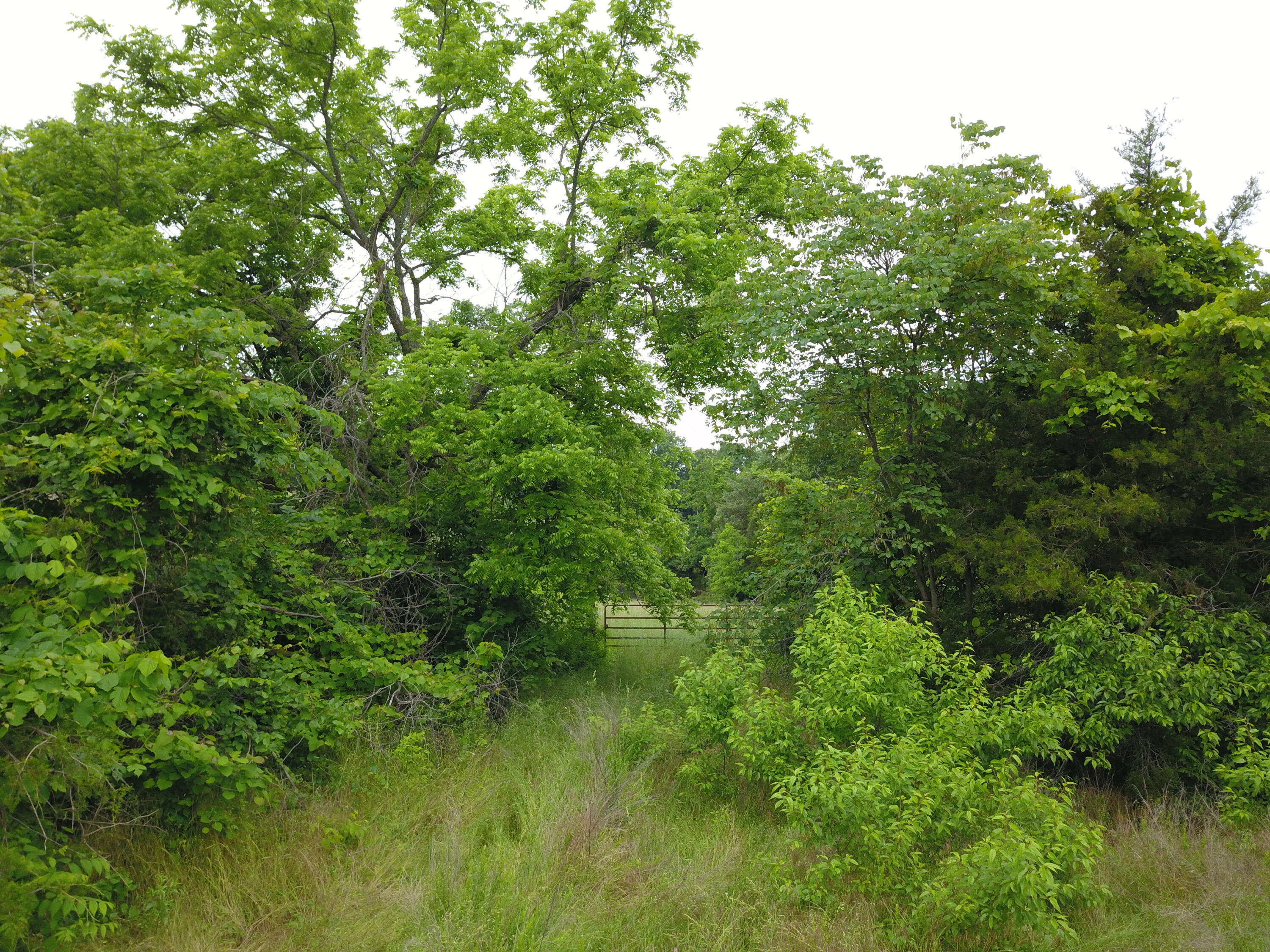 19020 South 245 Highway Property Photo 6