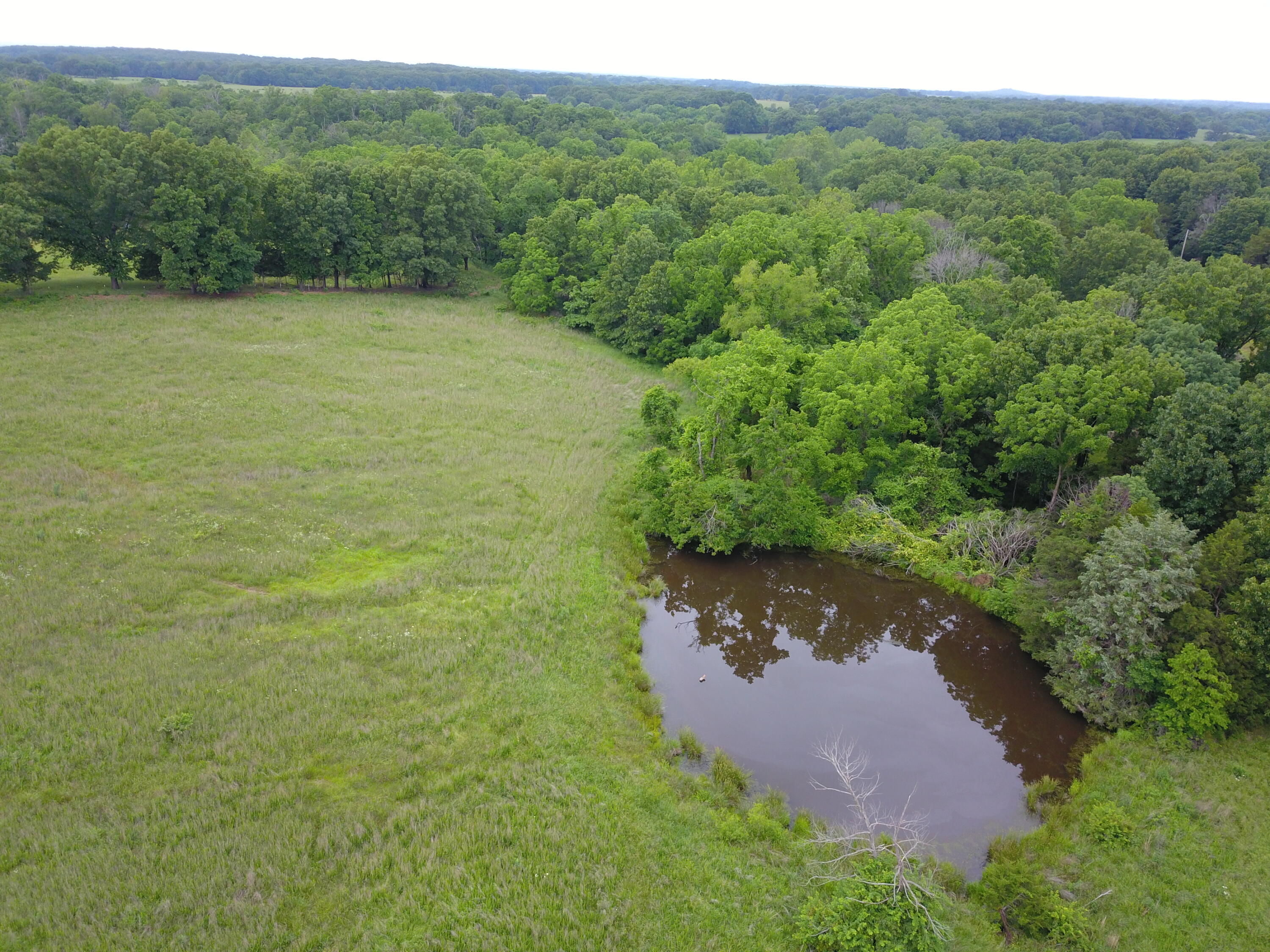 19020 South 245 Highway Property Photo 9