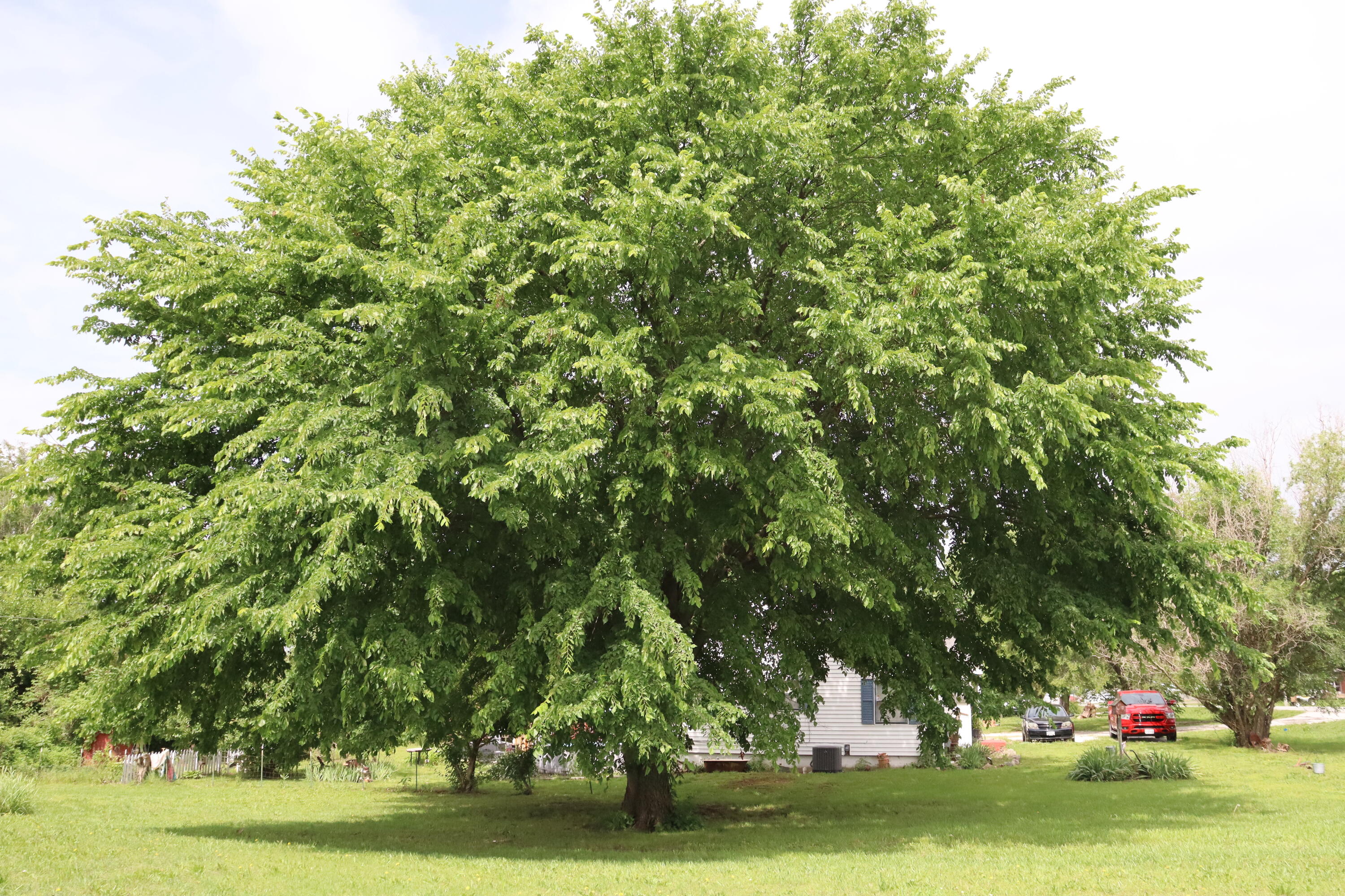 602 West 32 Highway Property Photo 2