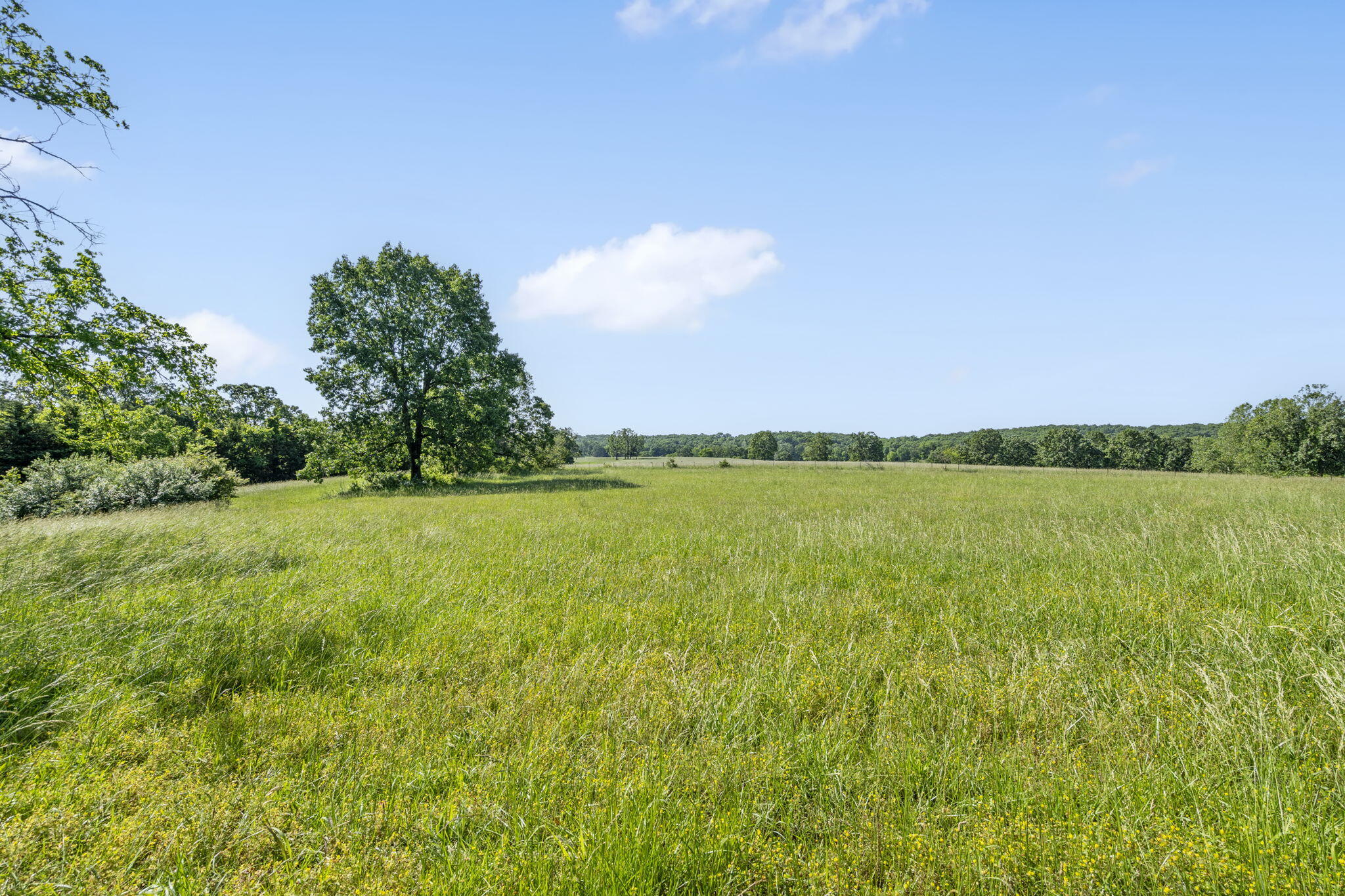 108 & 110 State Road Dd Property Photo 20