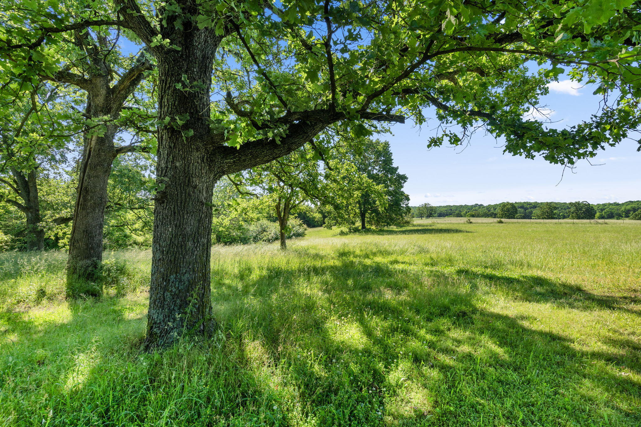 108 & 110 State Road Dd Property Photo 21
