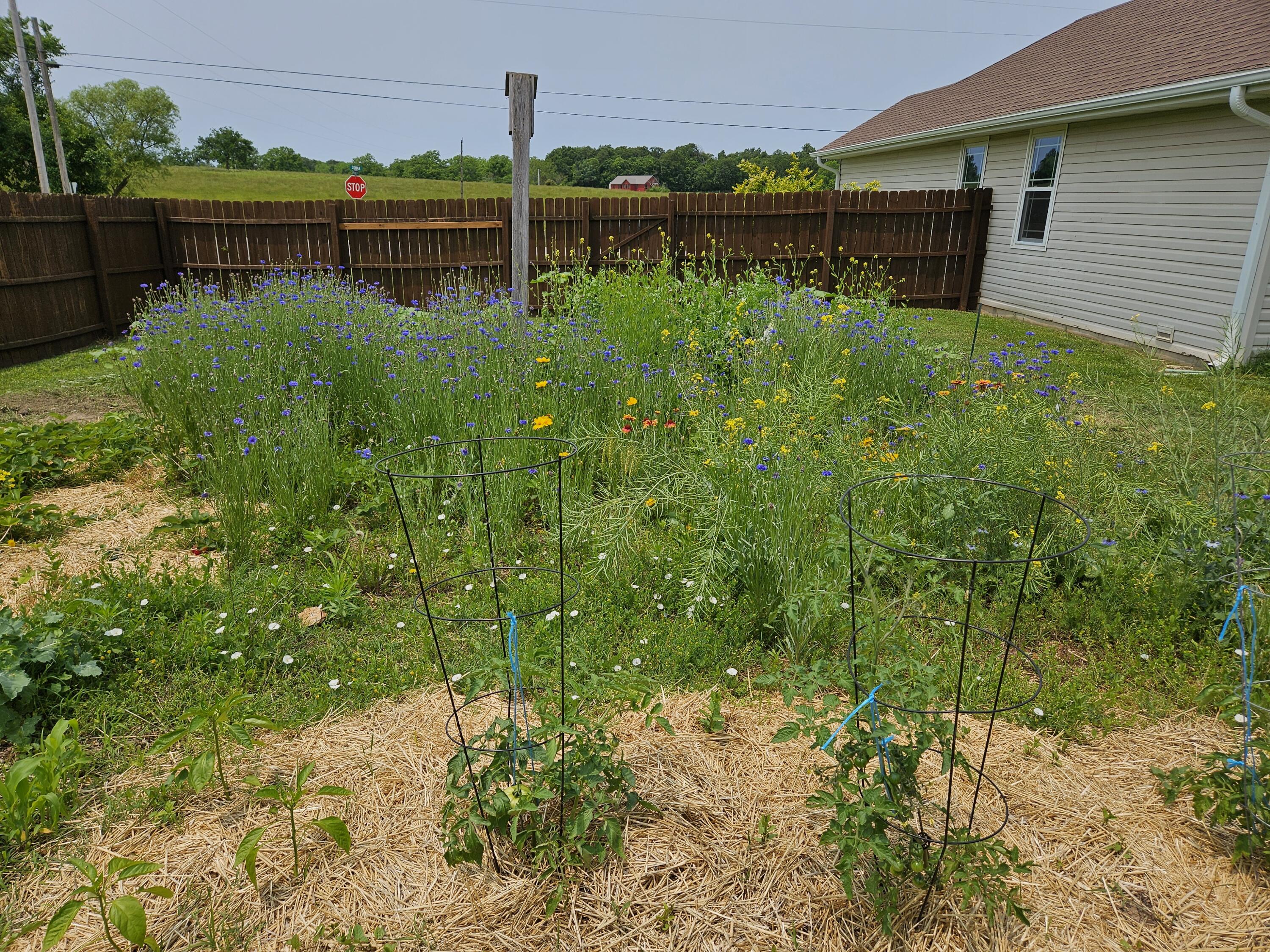 966 Cowan Street Property Photo 27