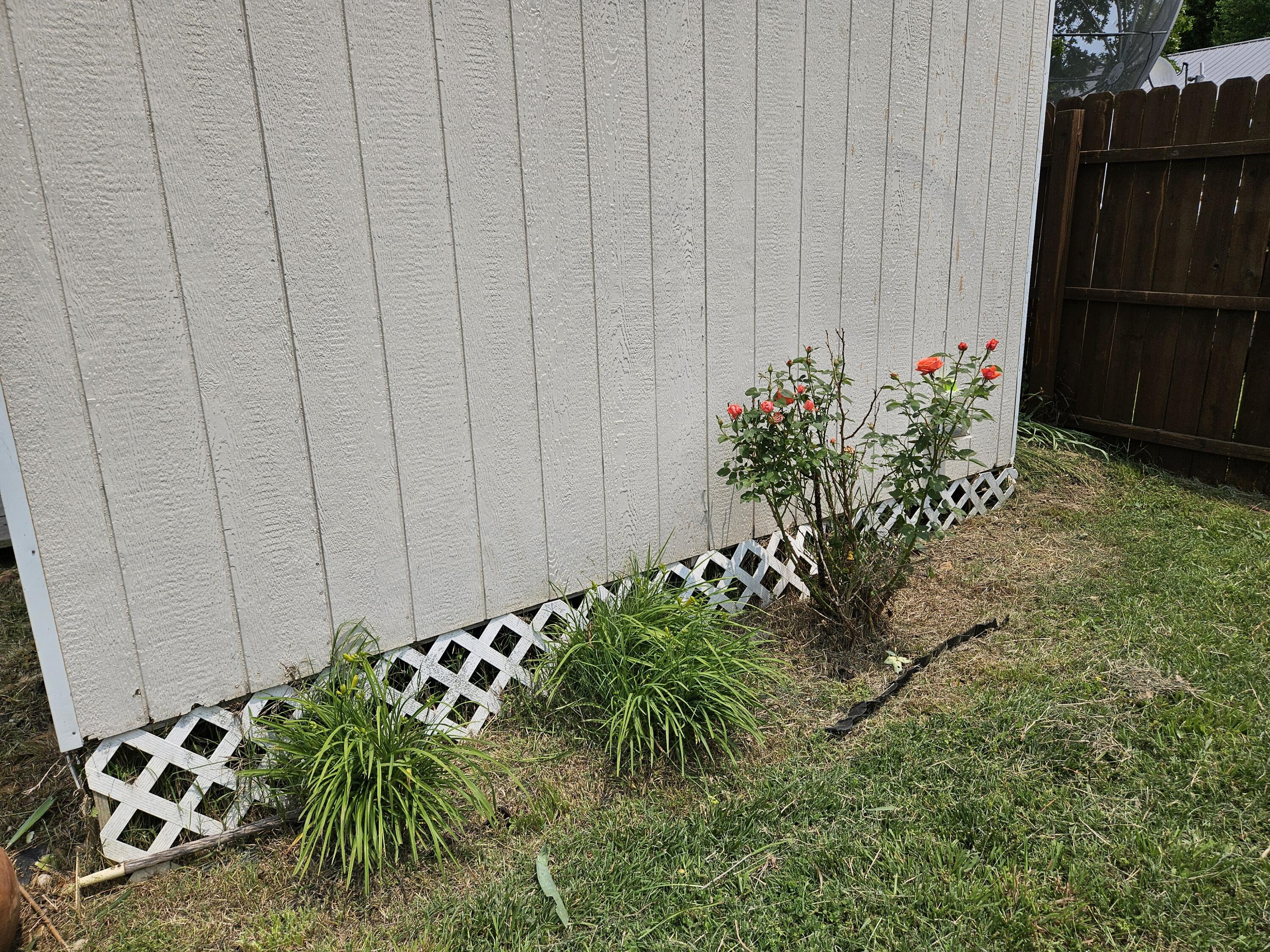 966 Cowan Street Property Photo 28