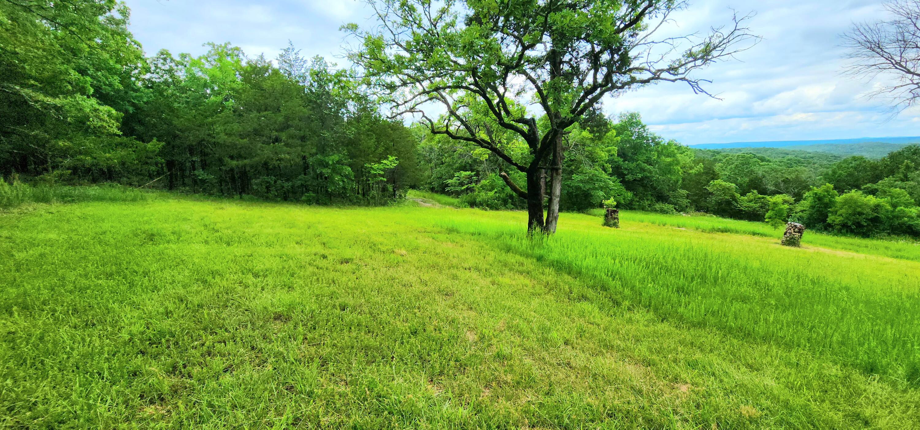 34 High Ridge Property Photo 31