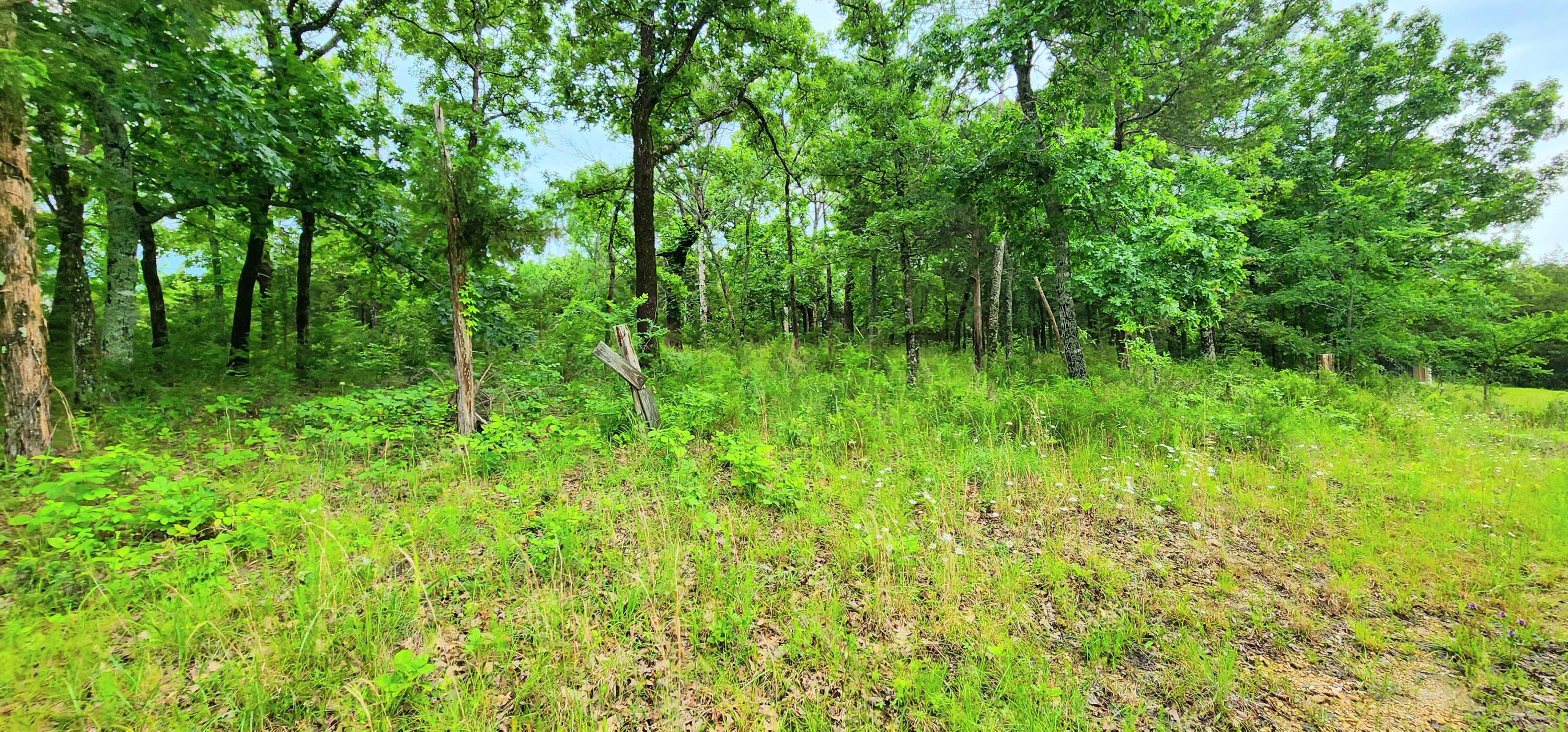 34 High Ridge Property Photo 35