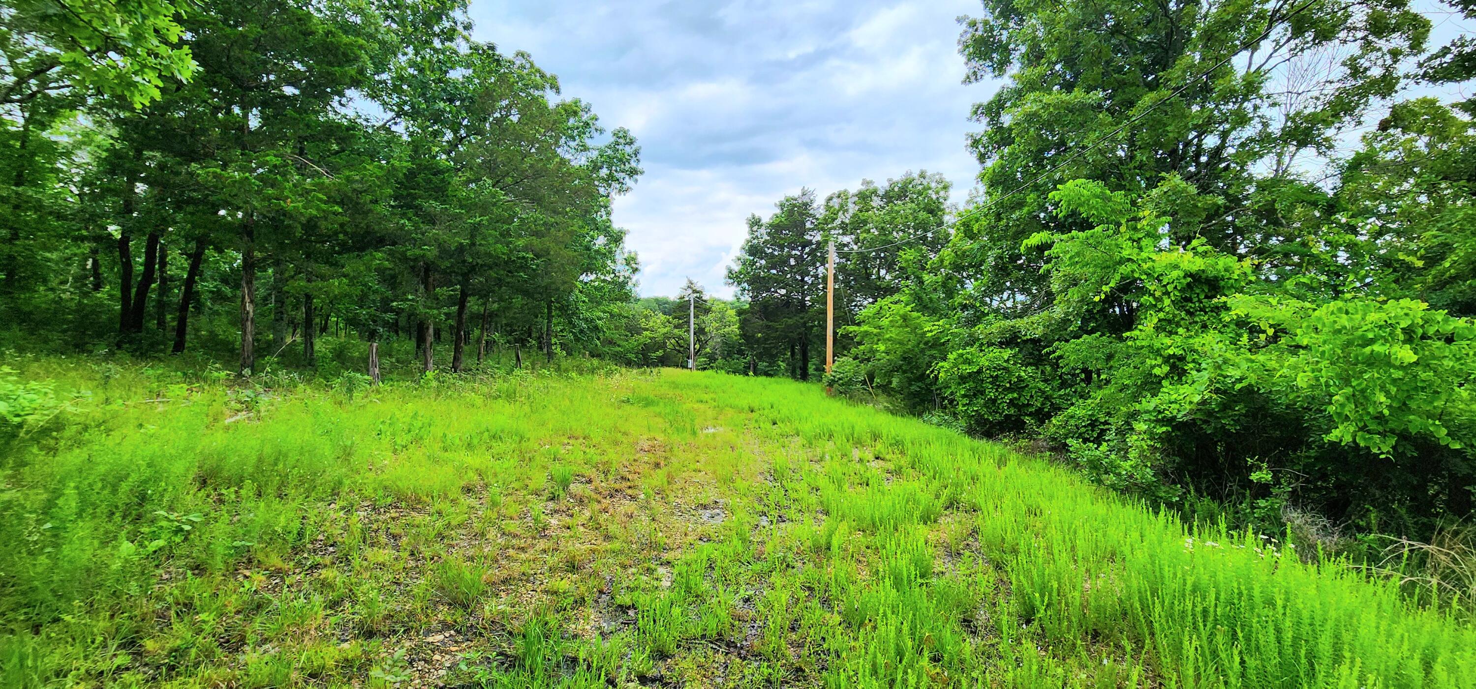 34 High Ridge Property Photo 36