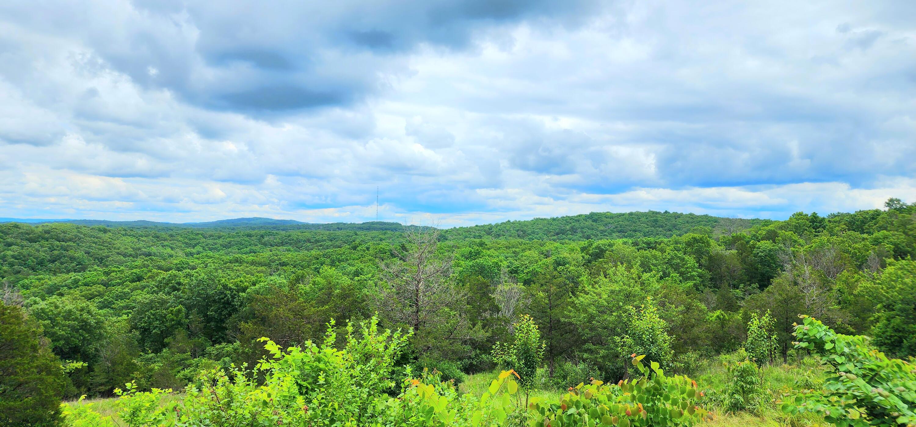 34 High Ridge Property Photo 50