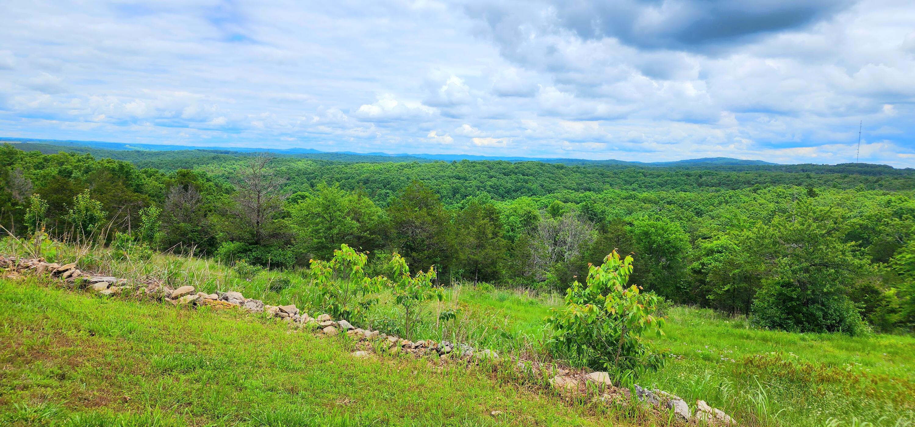 34 High Ridge Property Photo 52