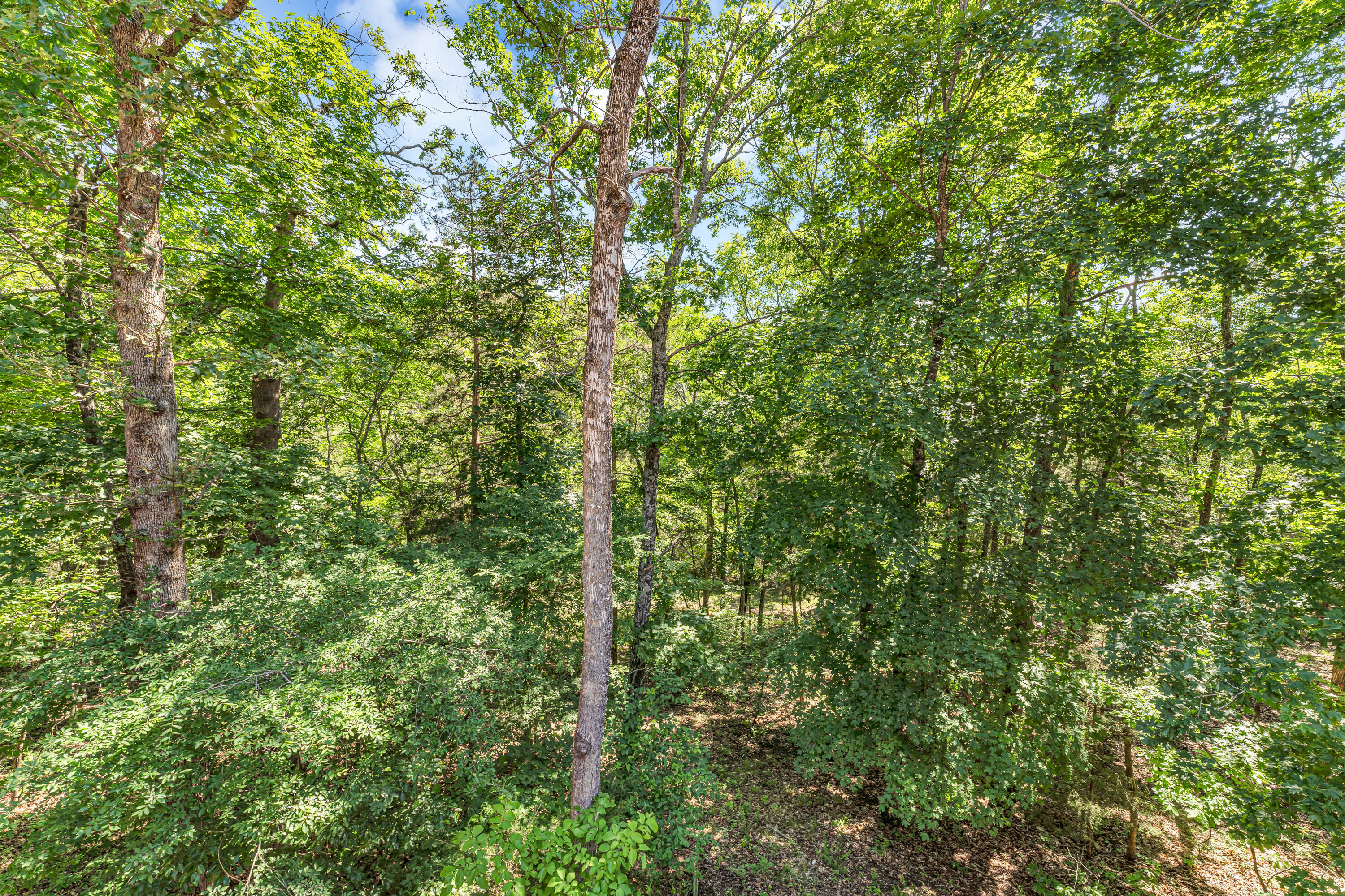 315 Rock Ridge Road Property Photo 15
