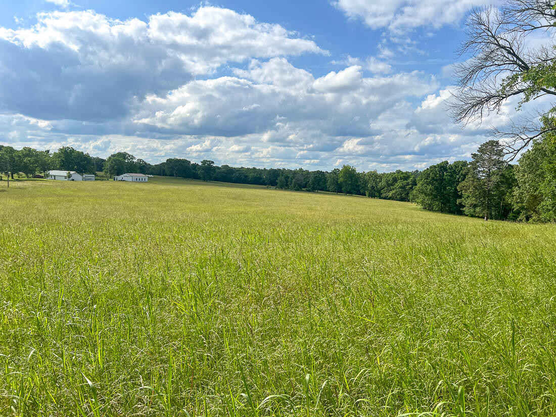 4521 Mcbride Road Property Photo 10