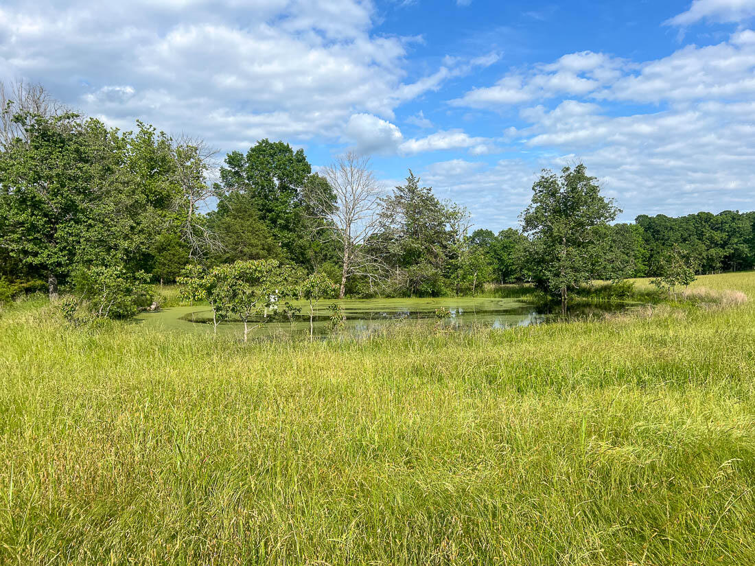 4521 Mcbride Road Property Photo 11
