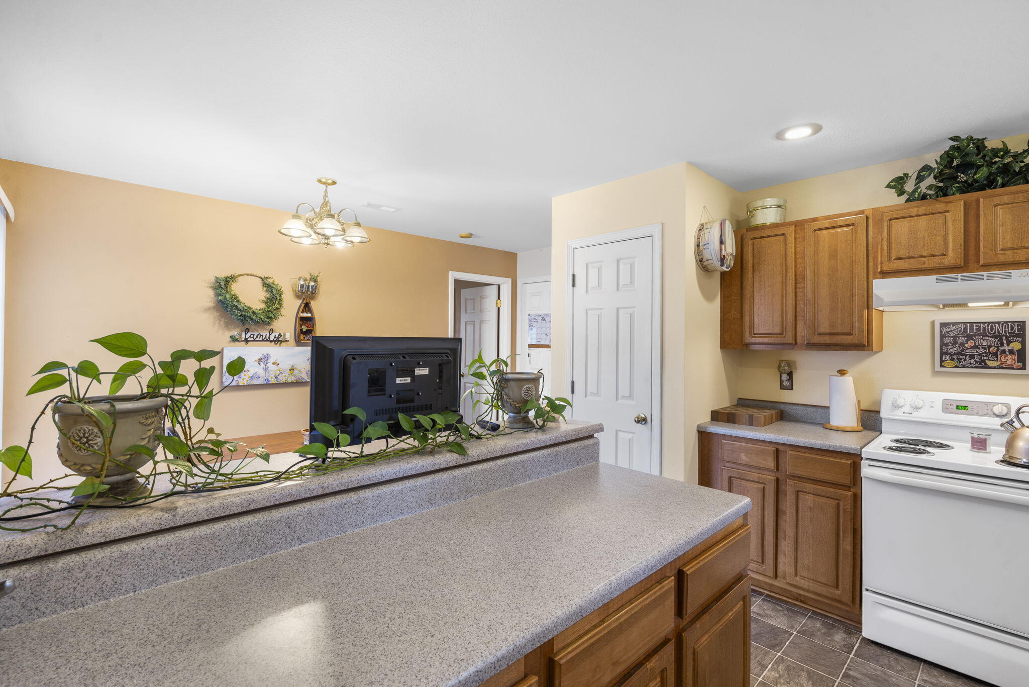 120 Deer Run Road Property Photo 10