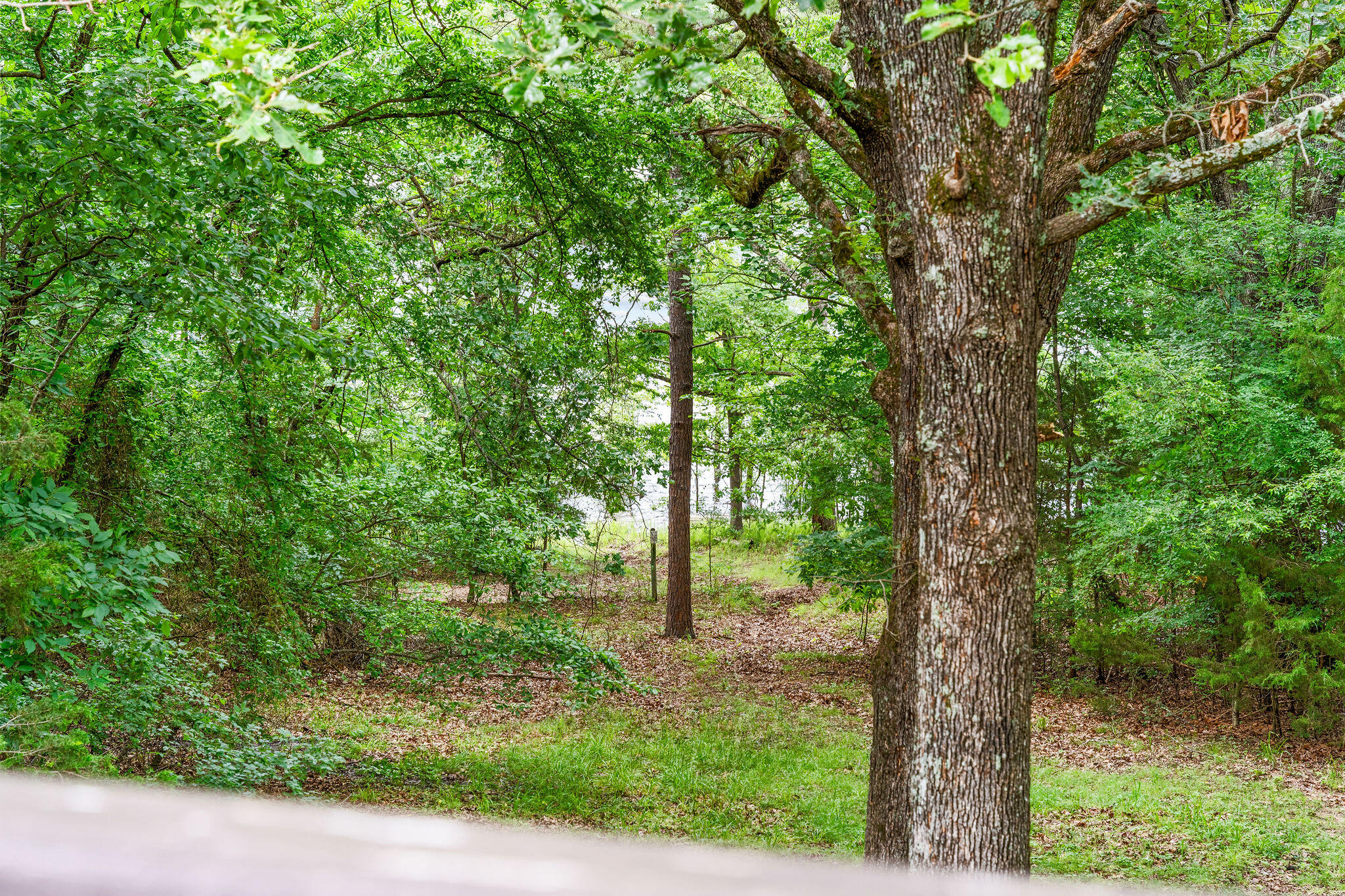 371 Sisters Road Property Photo 29