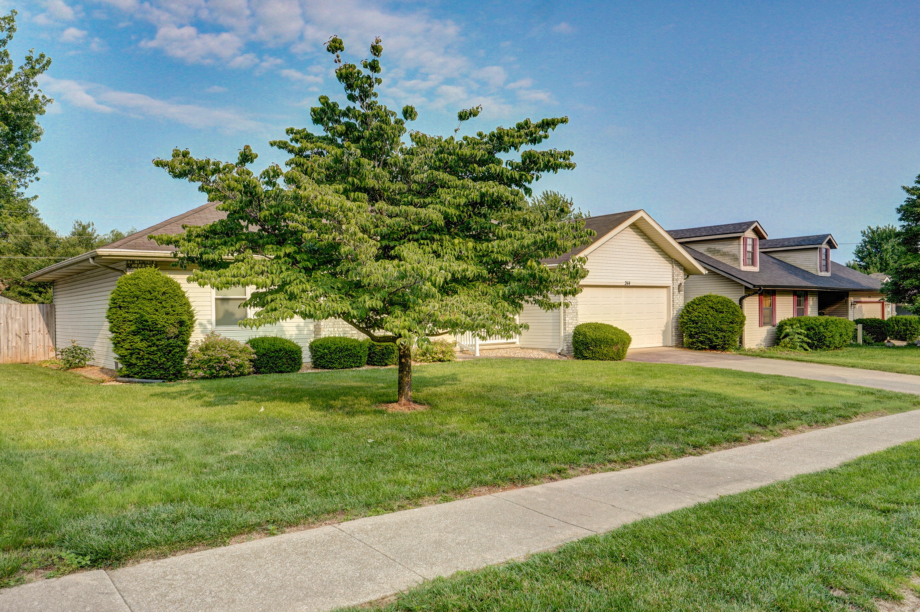 244 South Dove Valley Avenue Property Photo 3