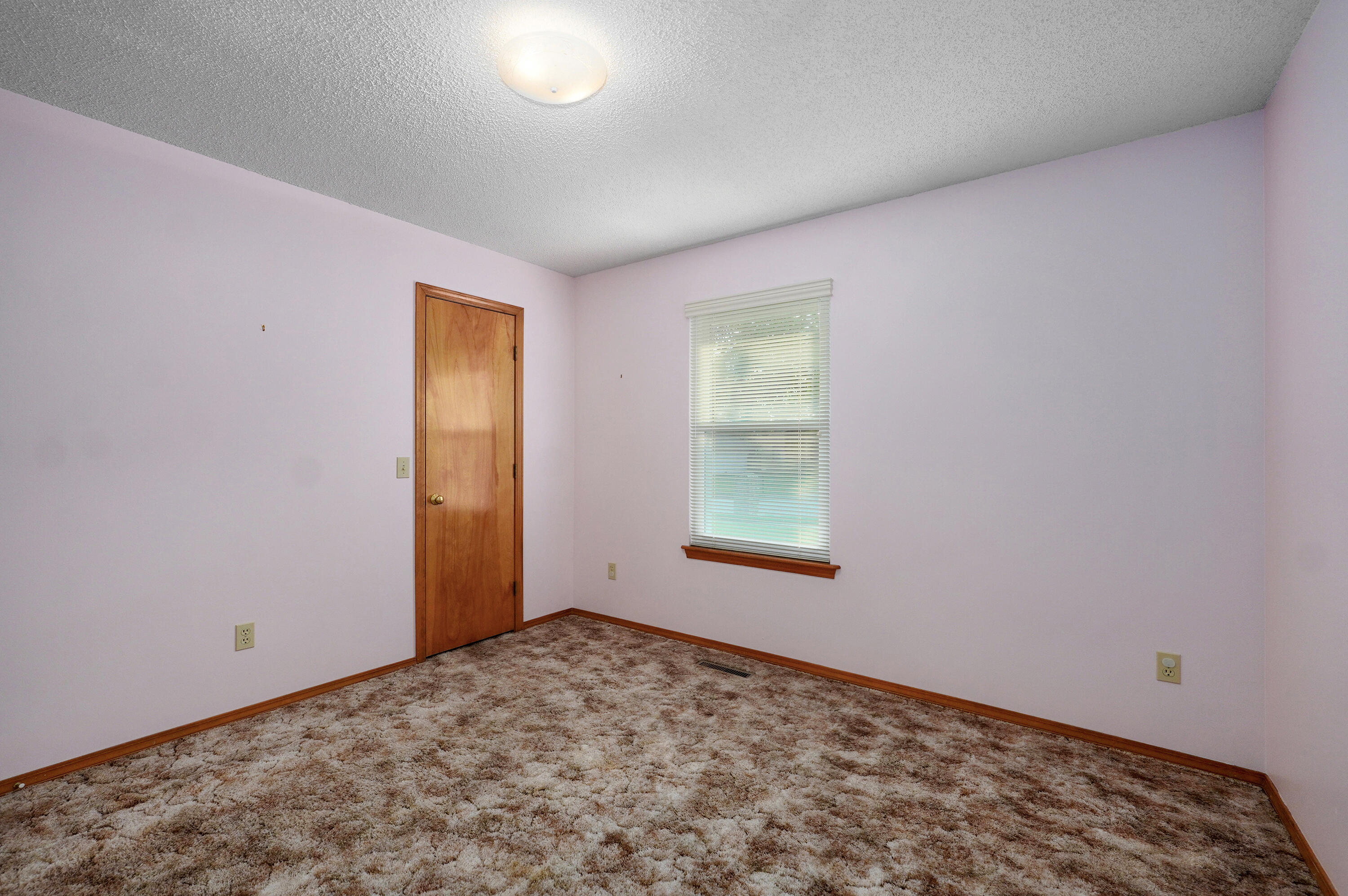 244 South Dove Valley Avenue Property Photo 18