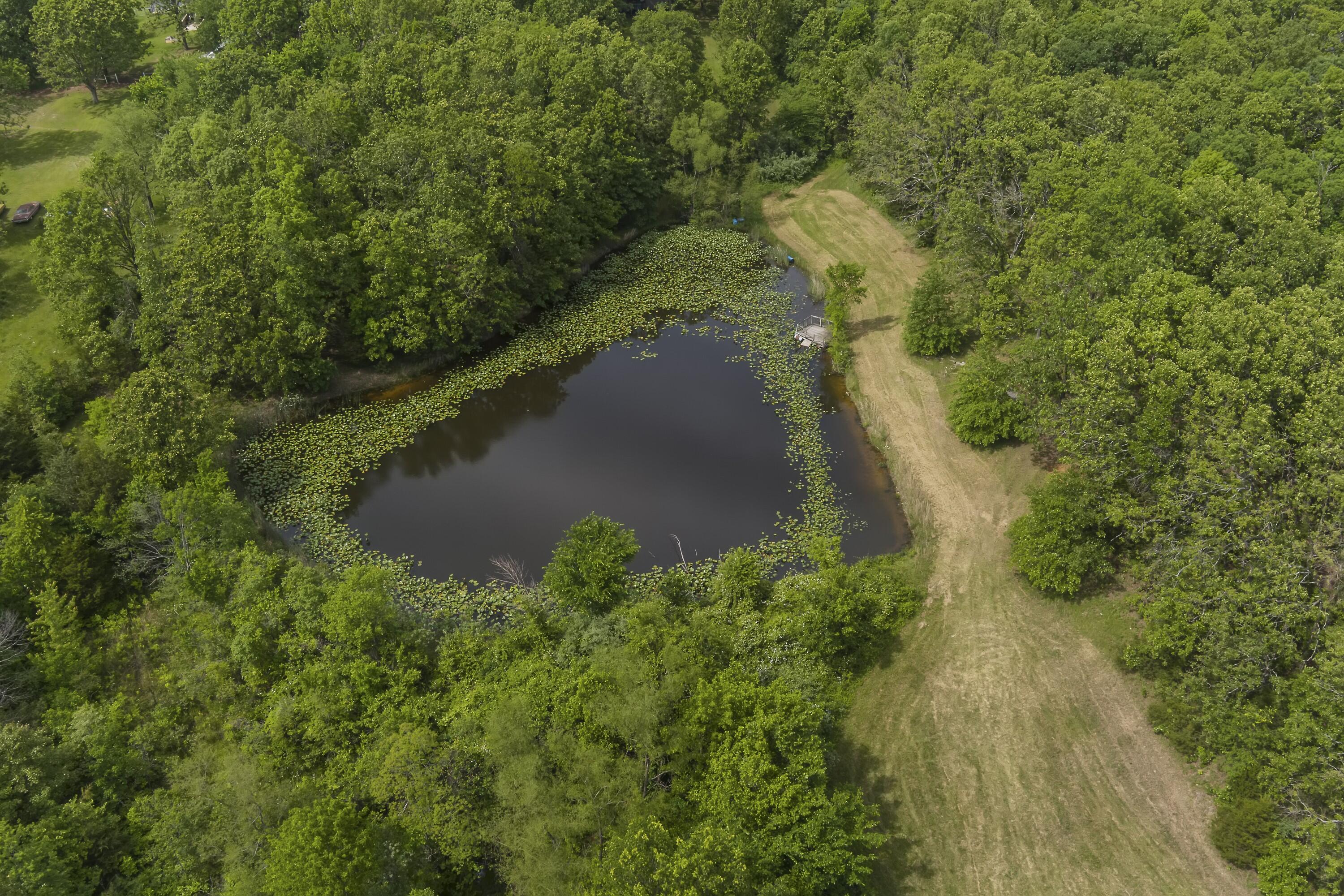 13544 State Highway Kk Property Photo 59