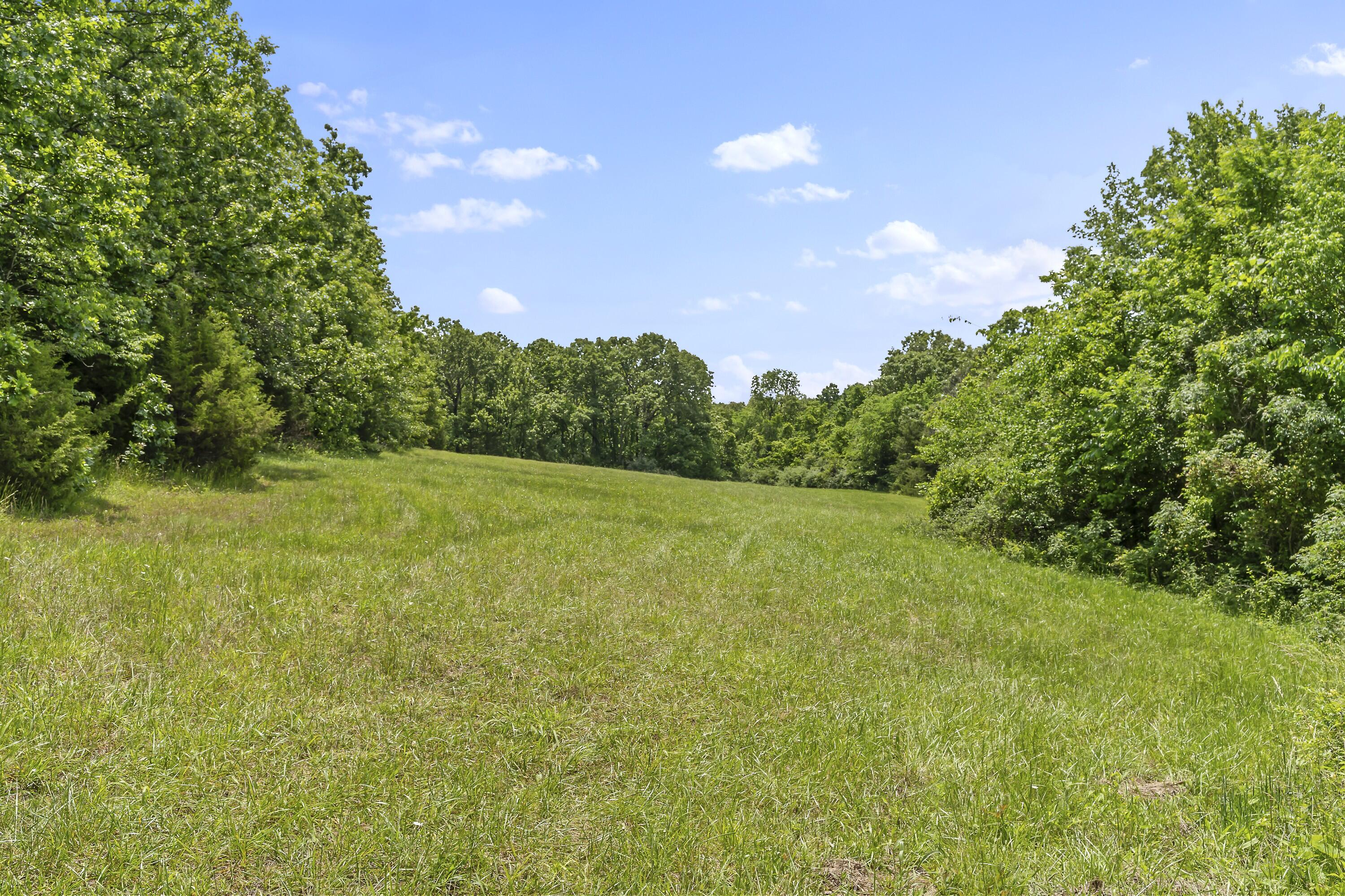 13544 State Highway Kk Property Photo 61