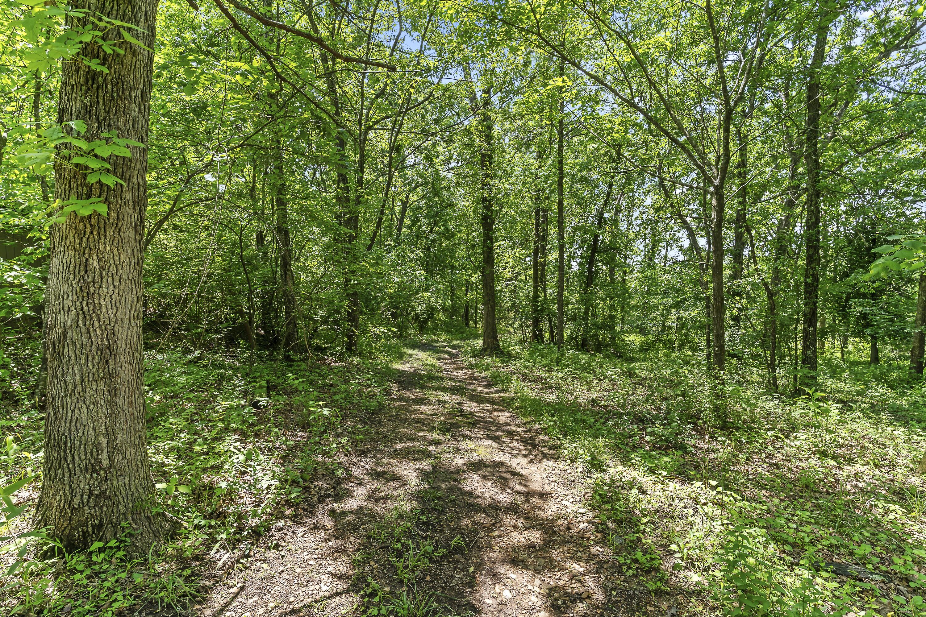 13544 State Highway Kk Property Photo 62