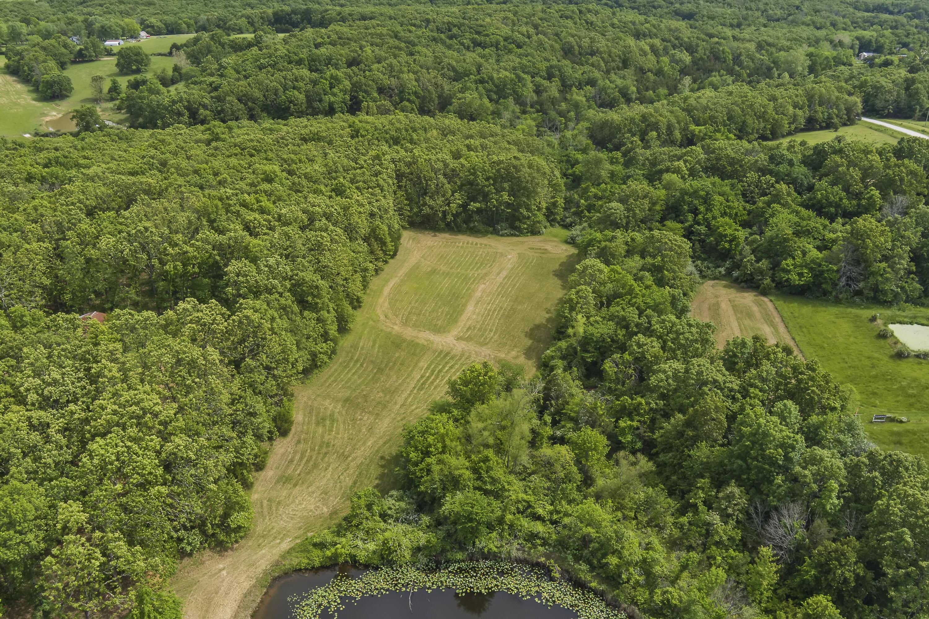 13544 State Highway Kk Property Photo 64