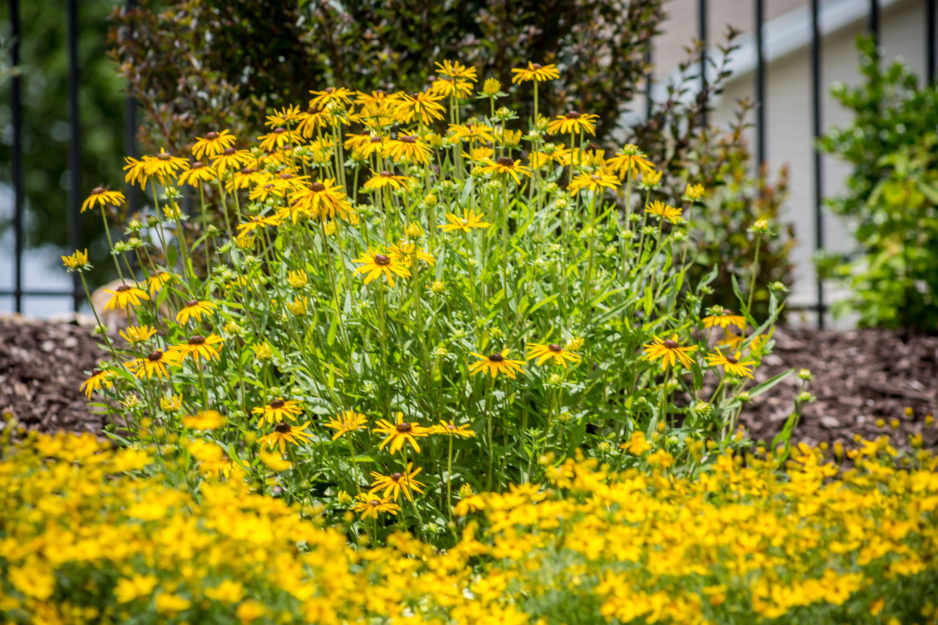 118 Vixen Circle Property Photo 30