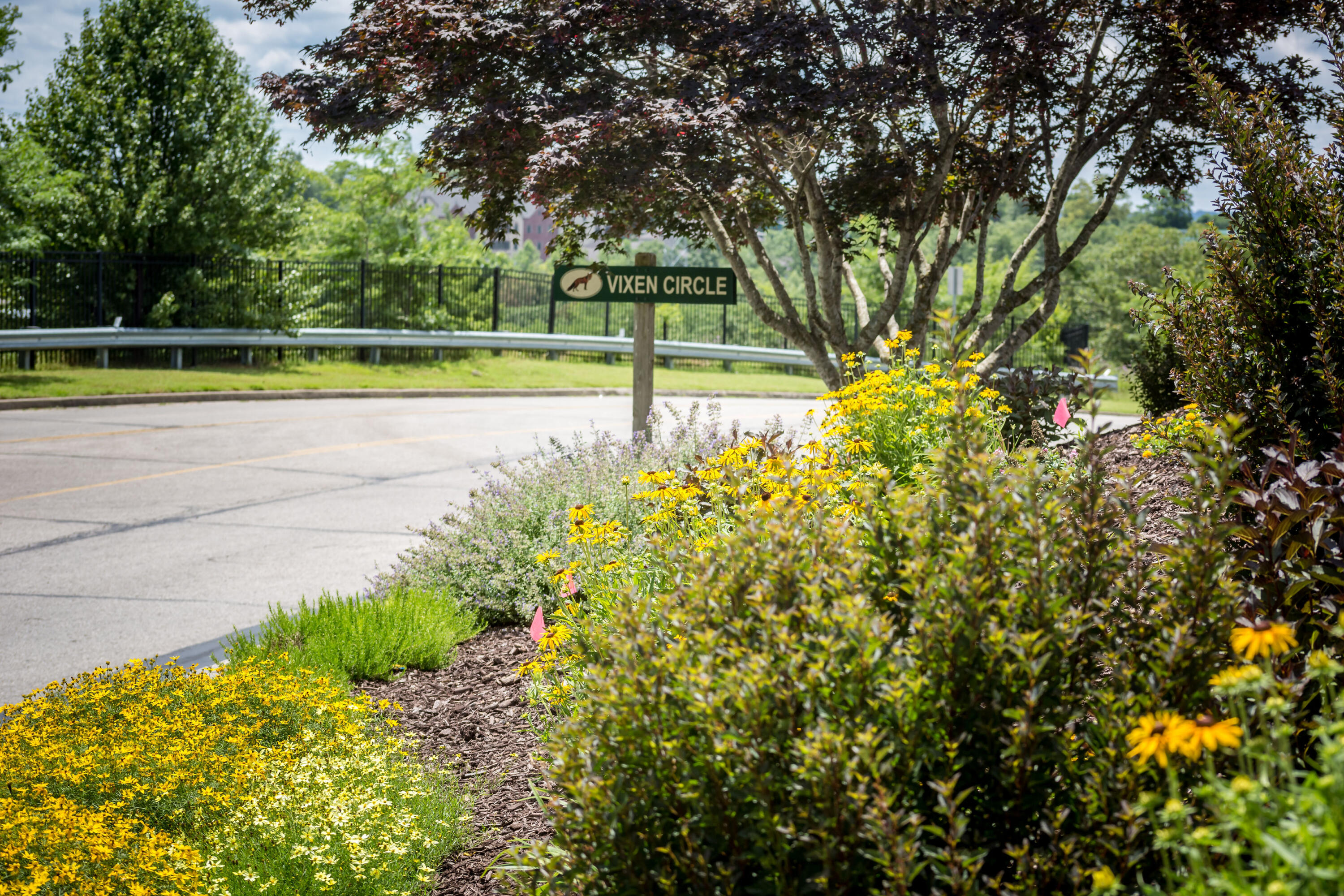 118 Vixen Circle Property Photo 32
