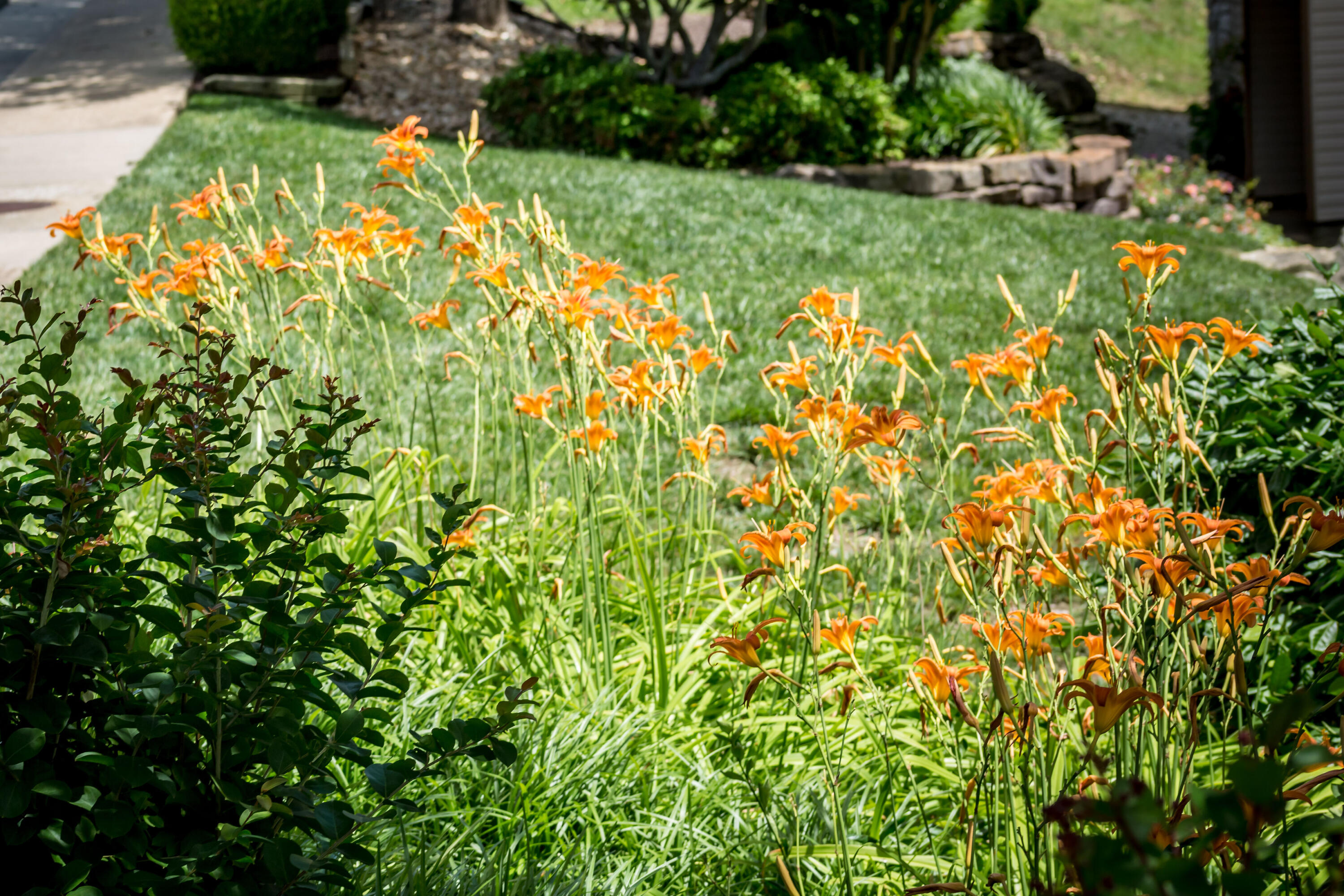 118 Vixen Circle Property Photo 34