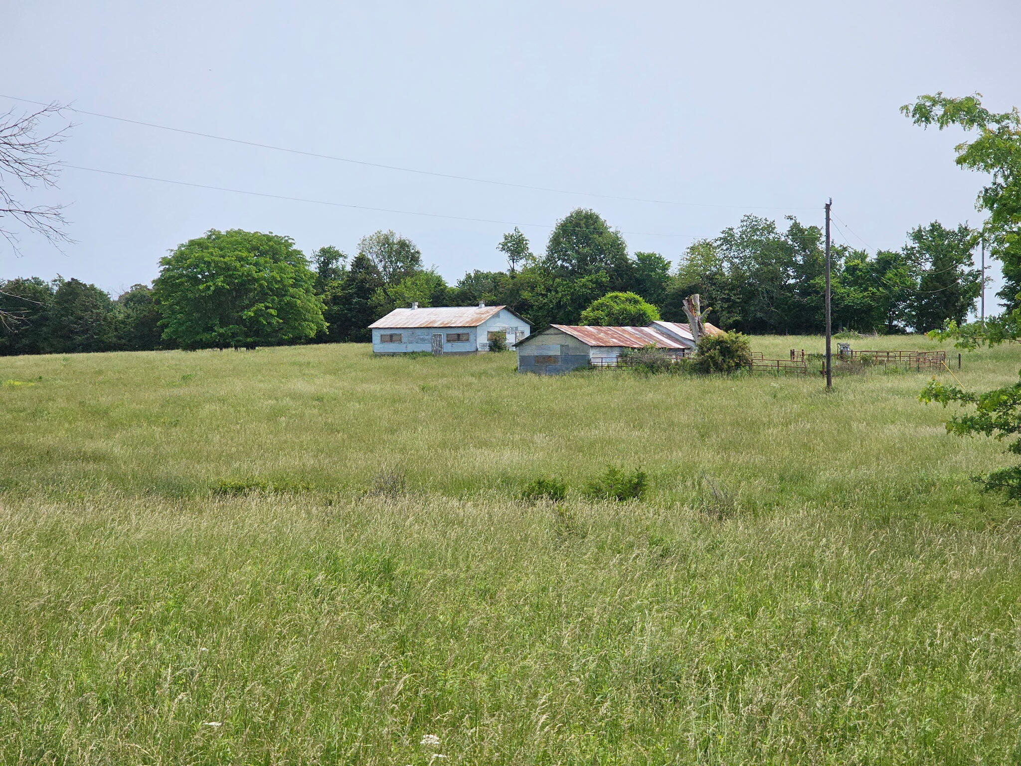 000 Patterson Branch Road Property Photo 1