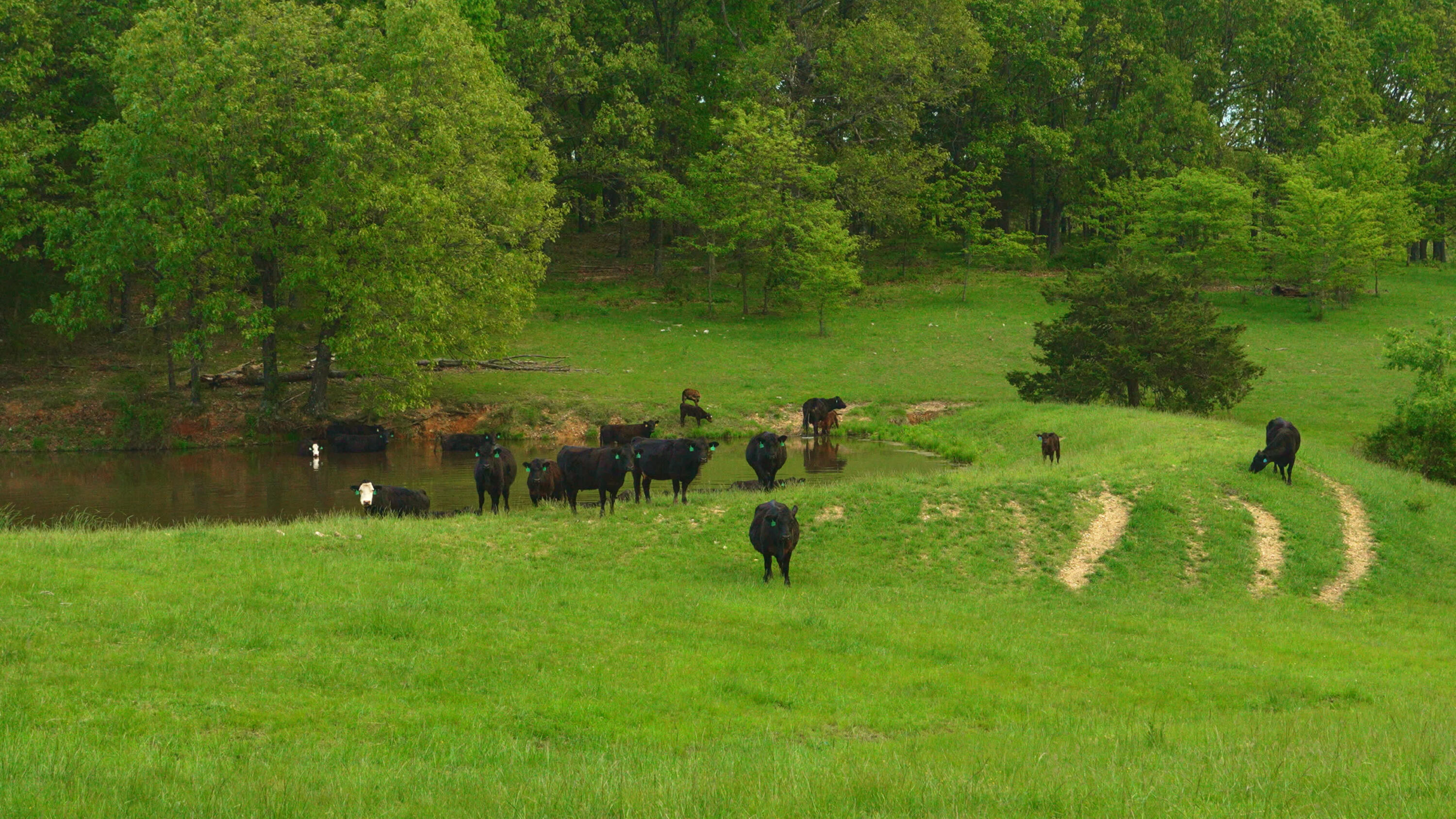 11205 Claxton Rd Road Property Photo 3