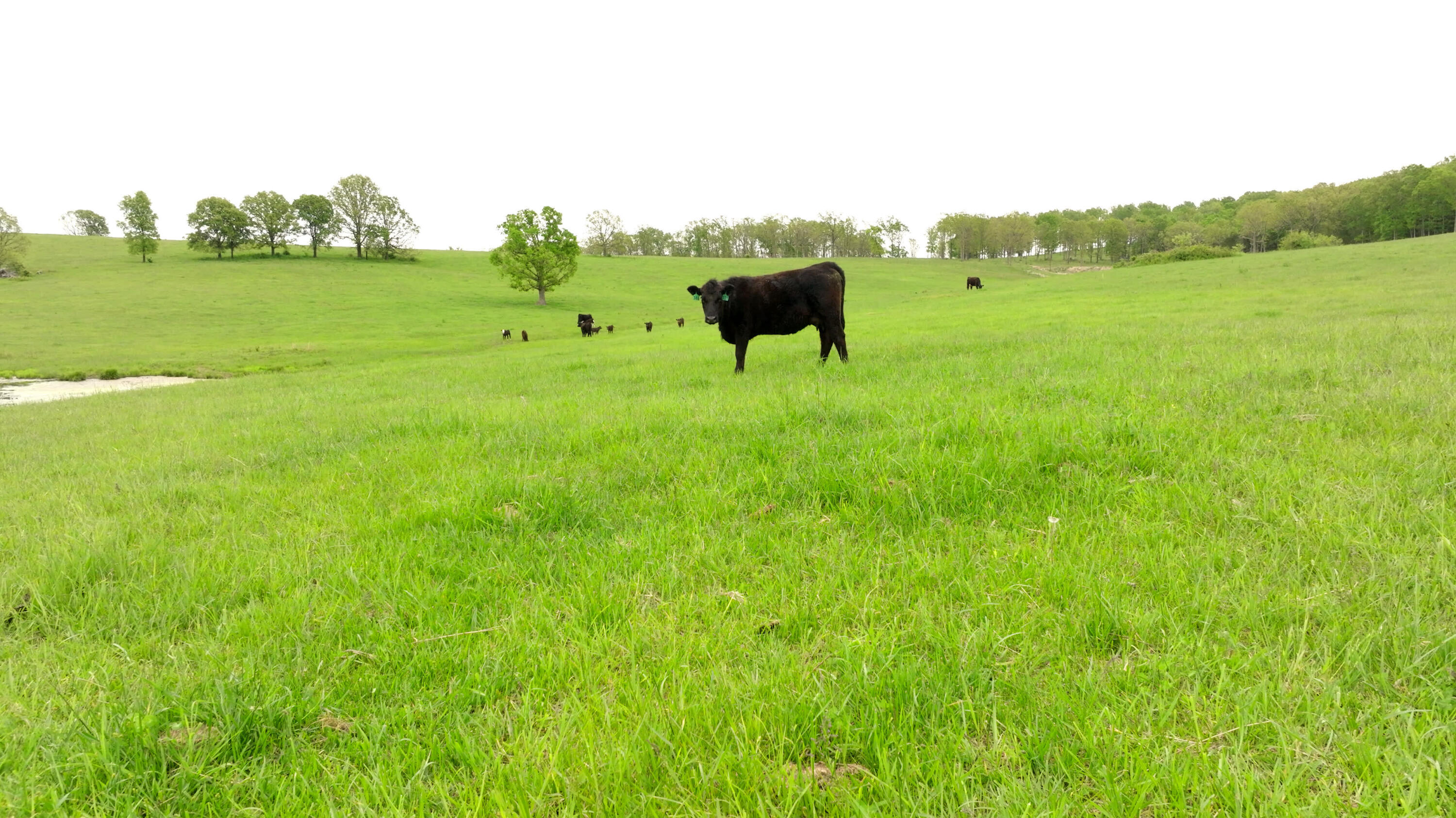 11205 Claxton Rd Road Property Photo 4
