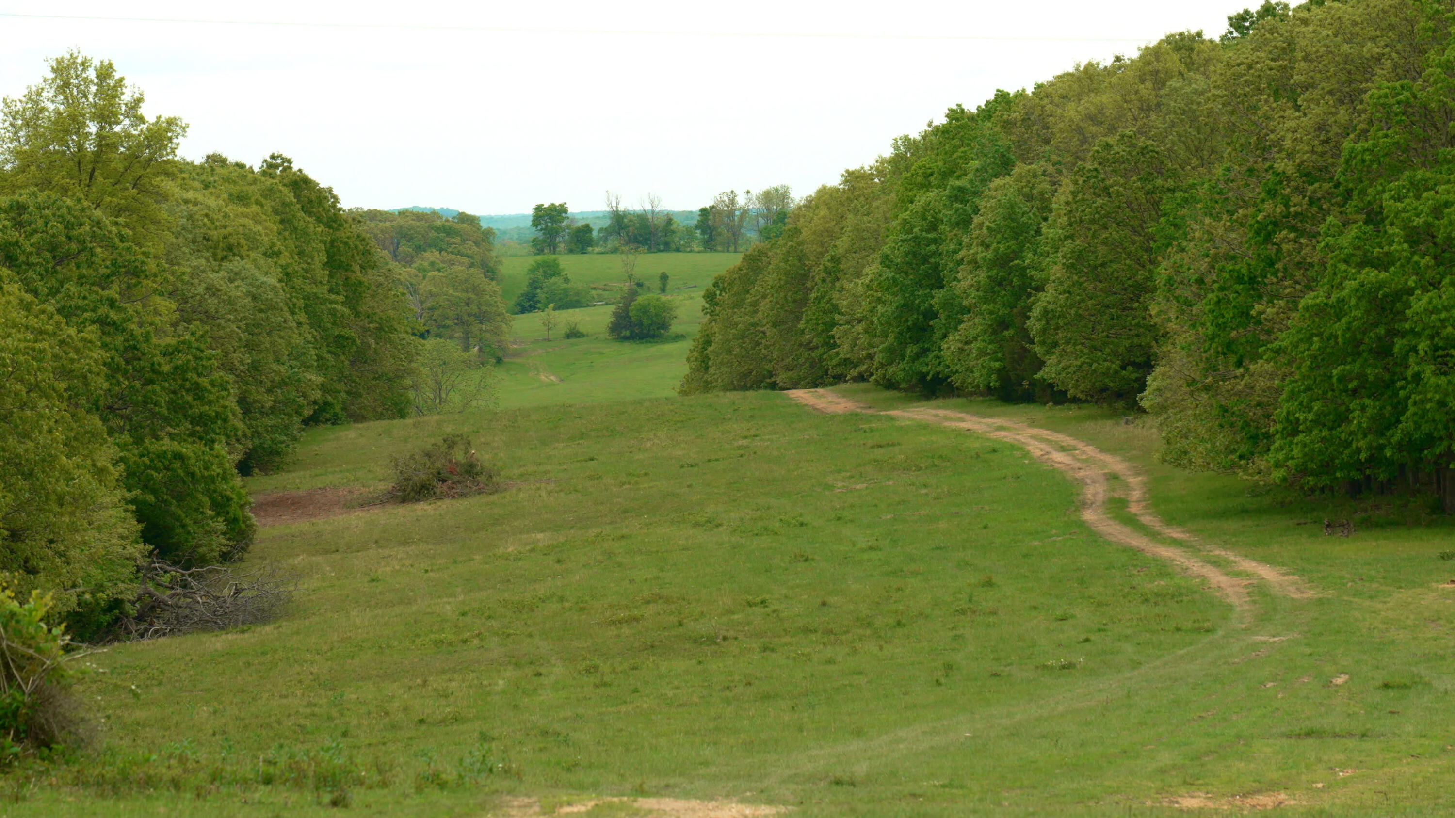 11205 Claxton Rd Road Property Photo 5